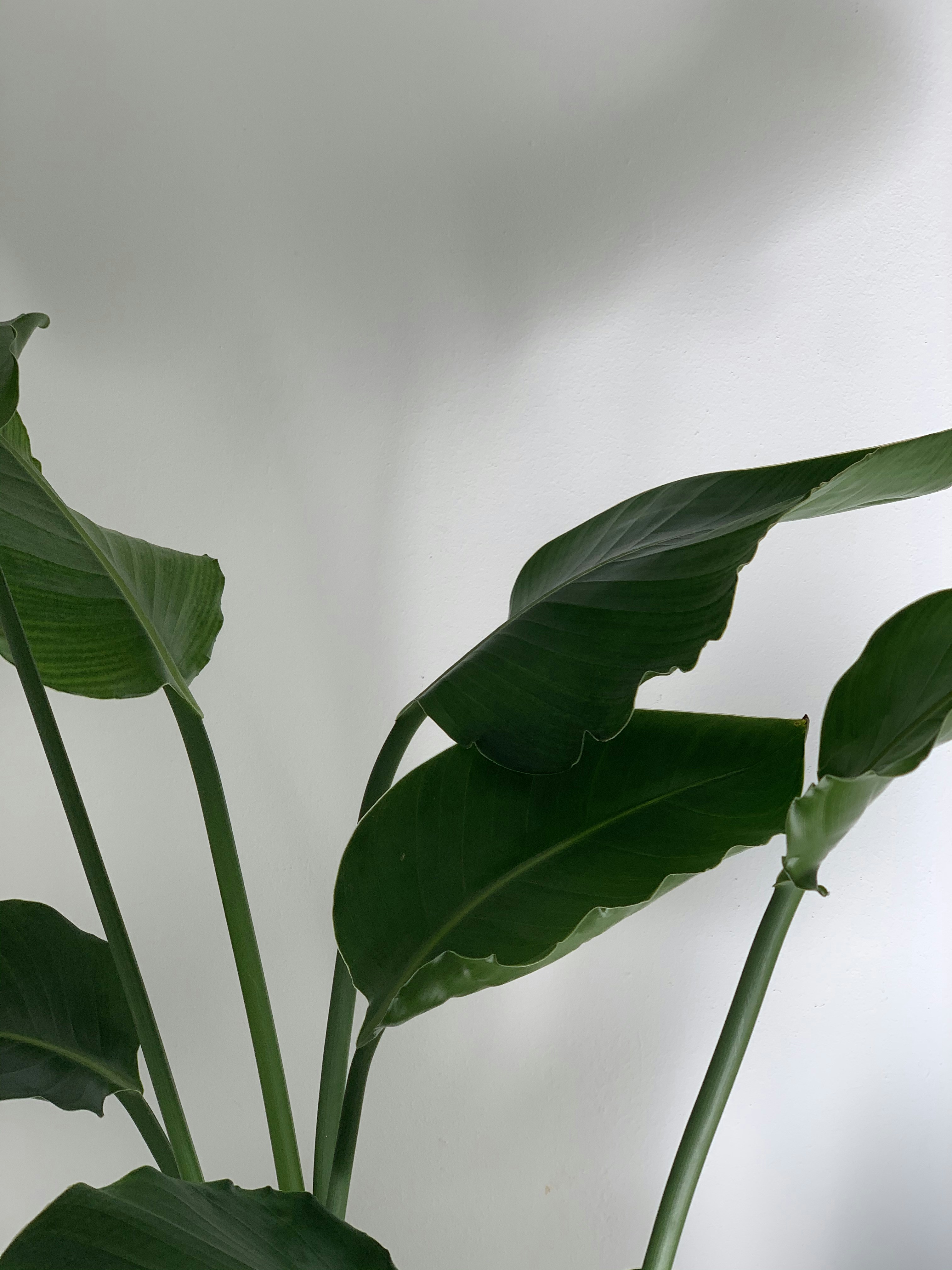 Photo by casteunissen