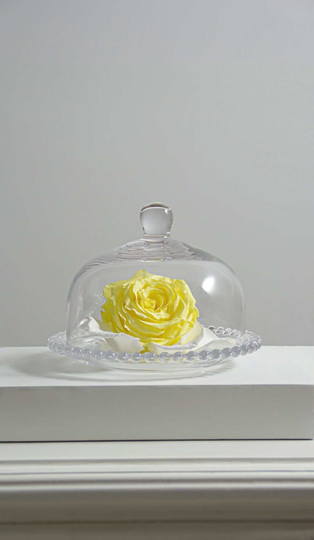 cupola per torta in vetro trasparente su tavolo bianco