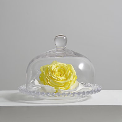 clear glass cake dome on white table