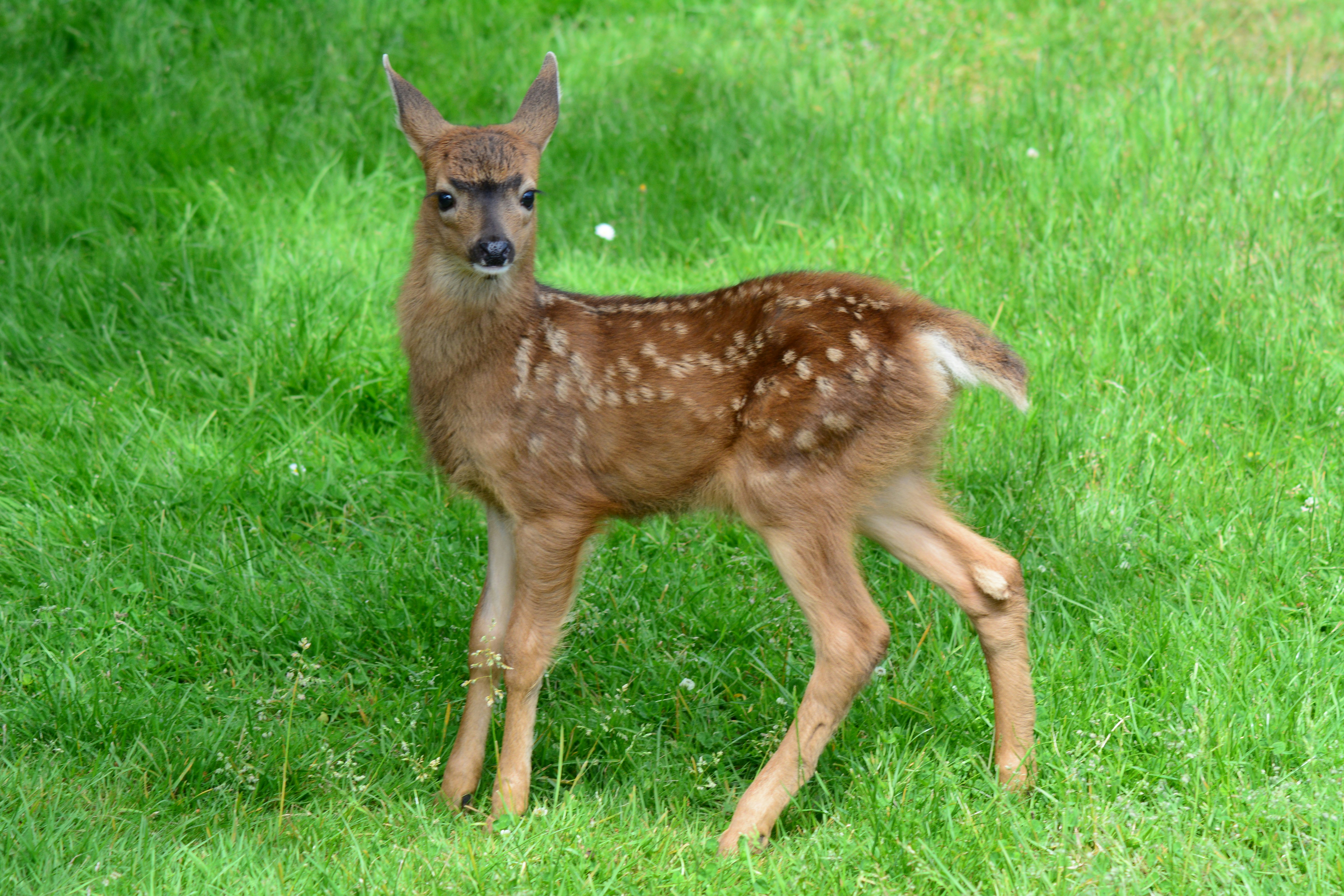 Photo by bryanhanson