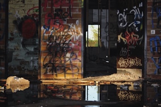 The scene depicts an abandoned building interior with graffiti covering the walls. The floor is partially covered with water, creating reflections of the surrounding debris and vandalized surfaces. Natural light enters through an open doorway, revealing an overgrown area outside.