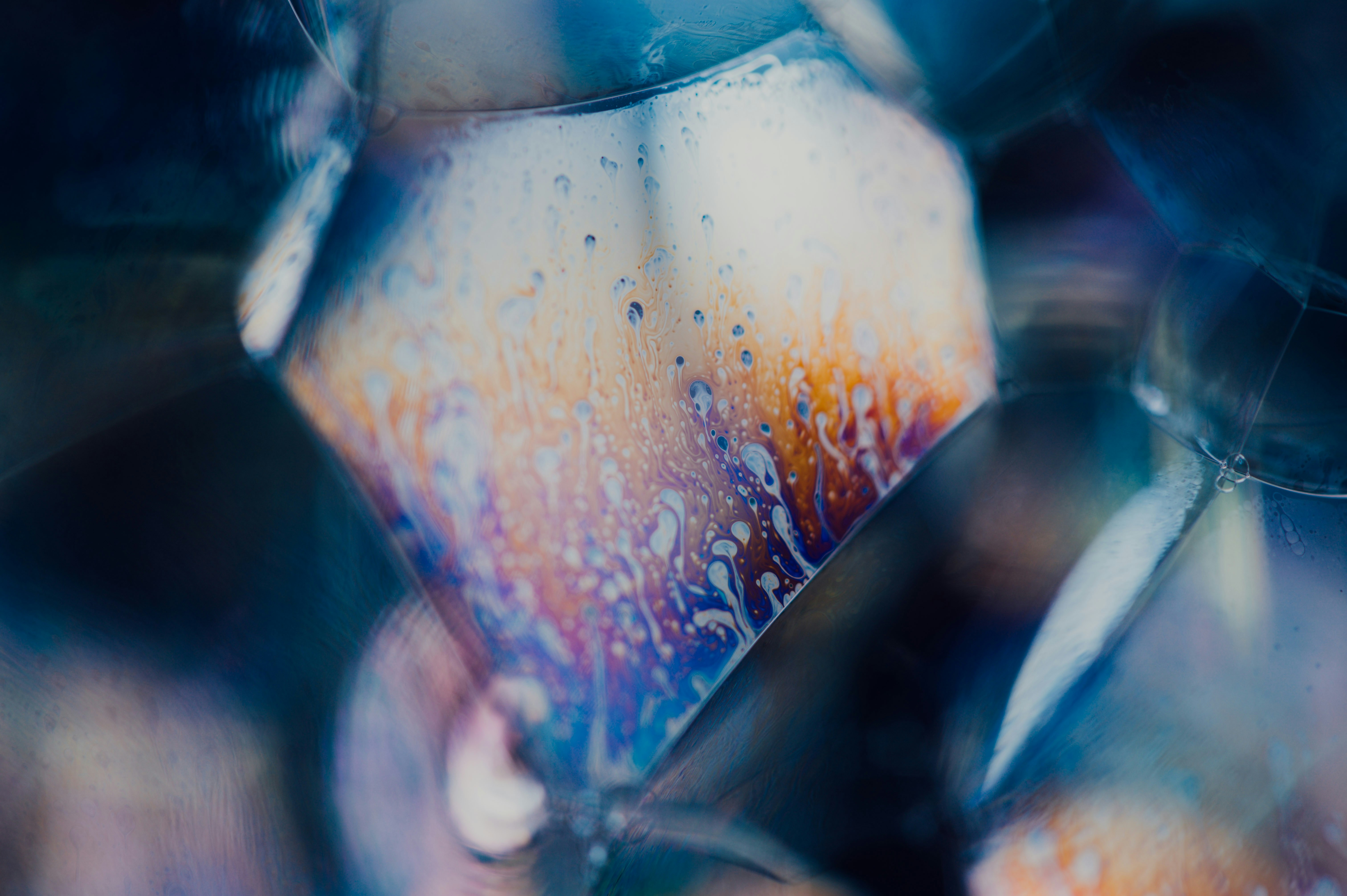 Photo by chuttersnap