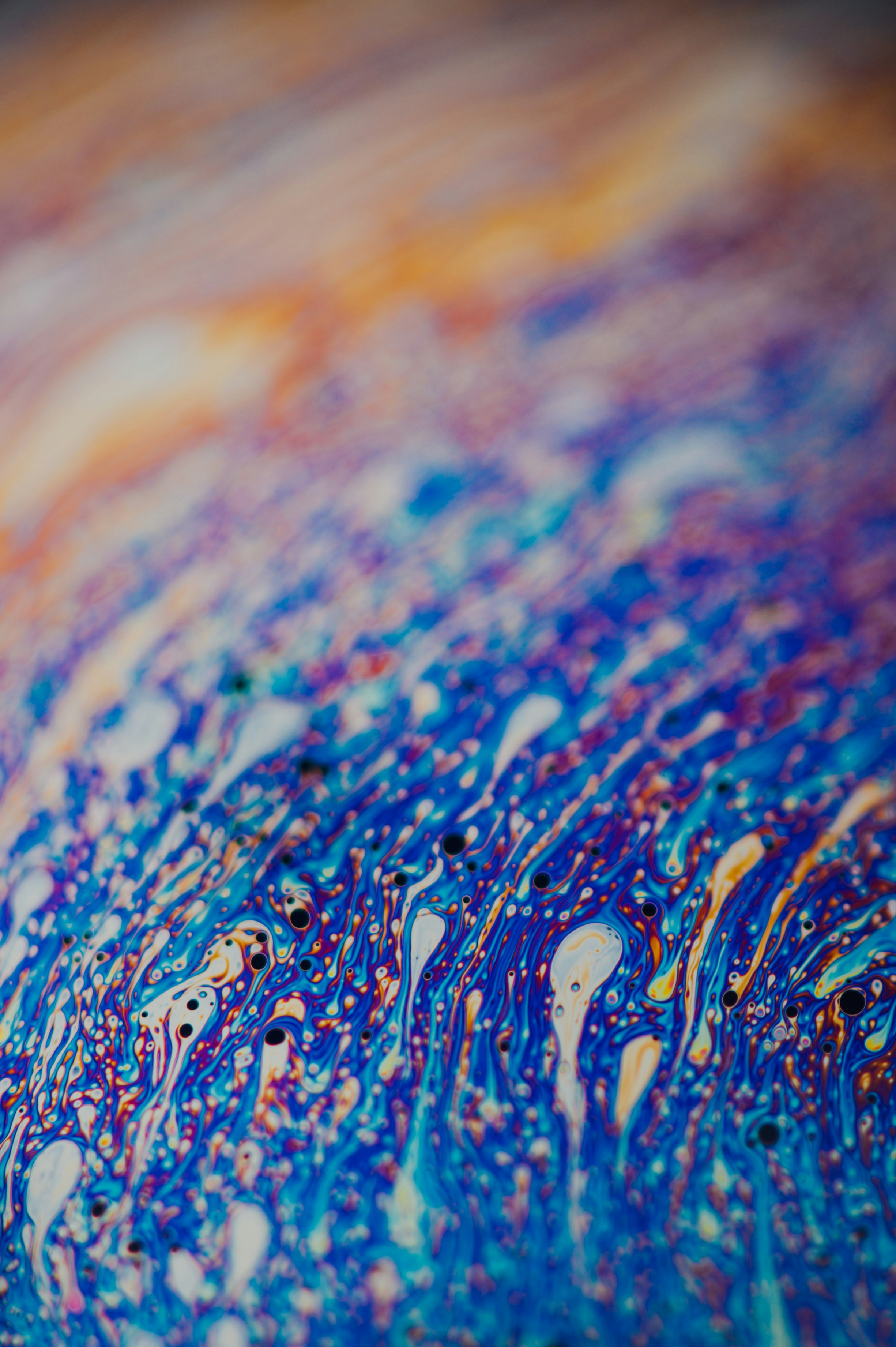 Photo by chuttersnap