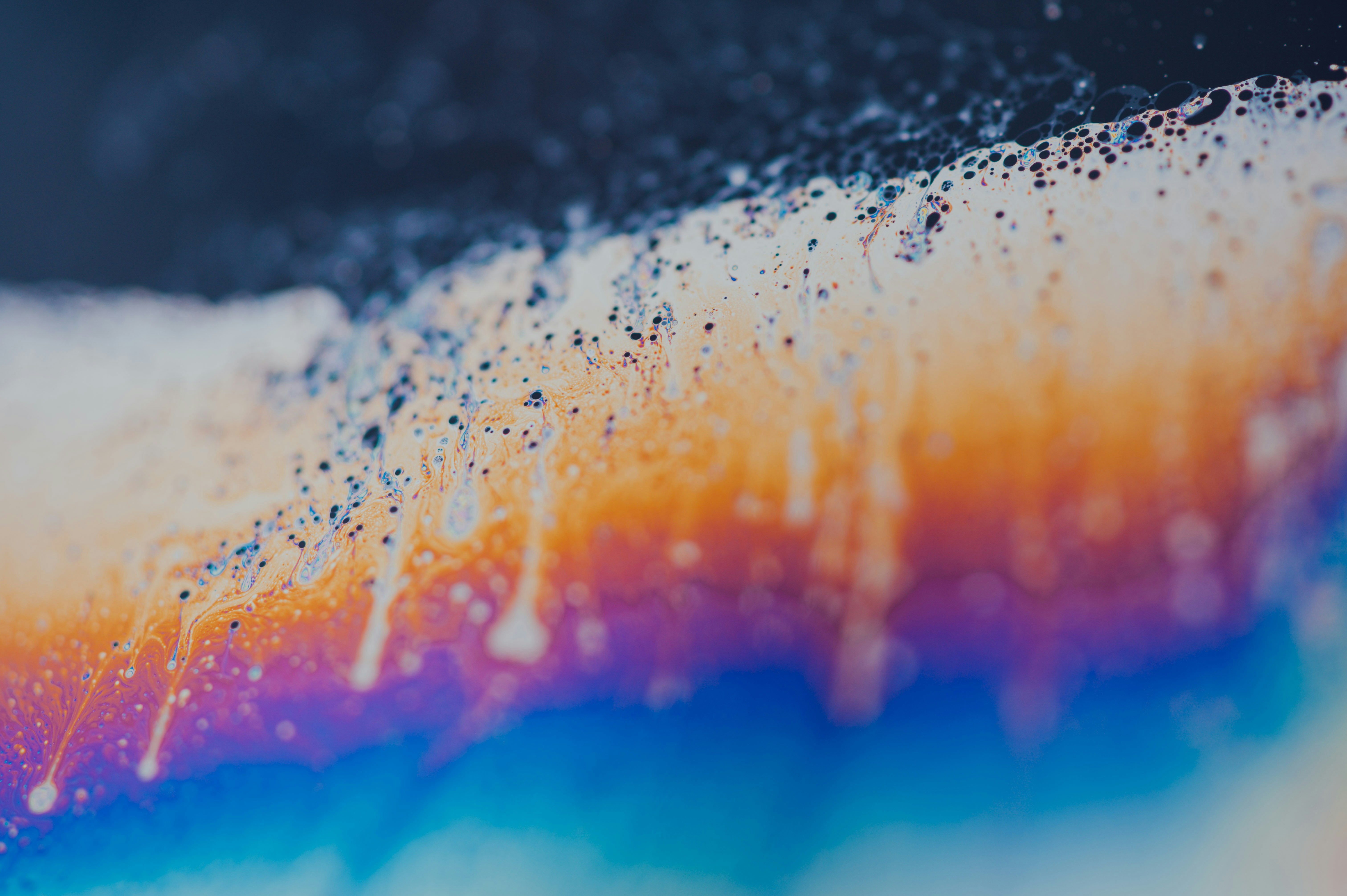 Photo by chuttersnap