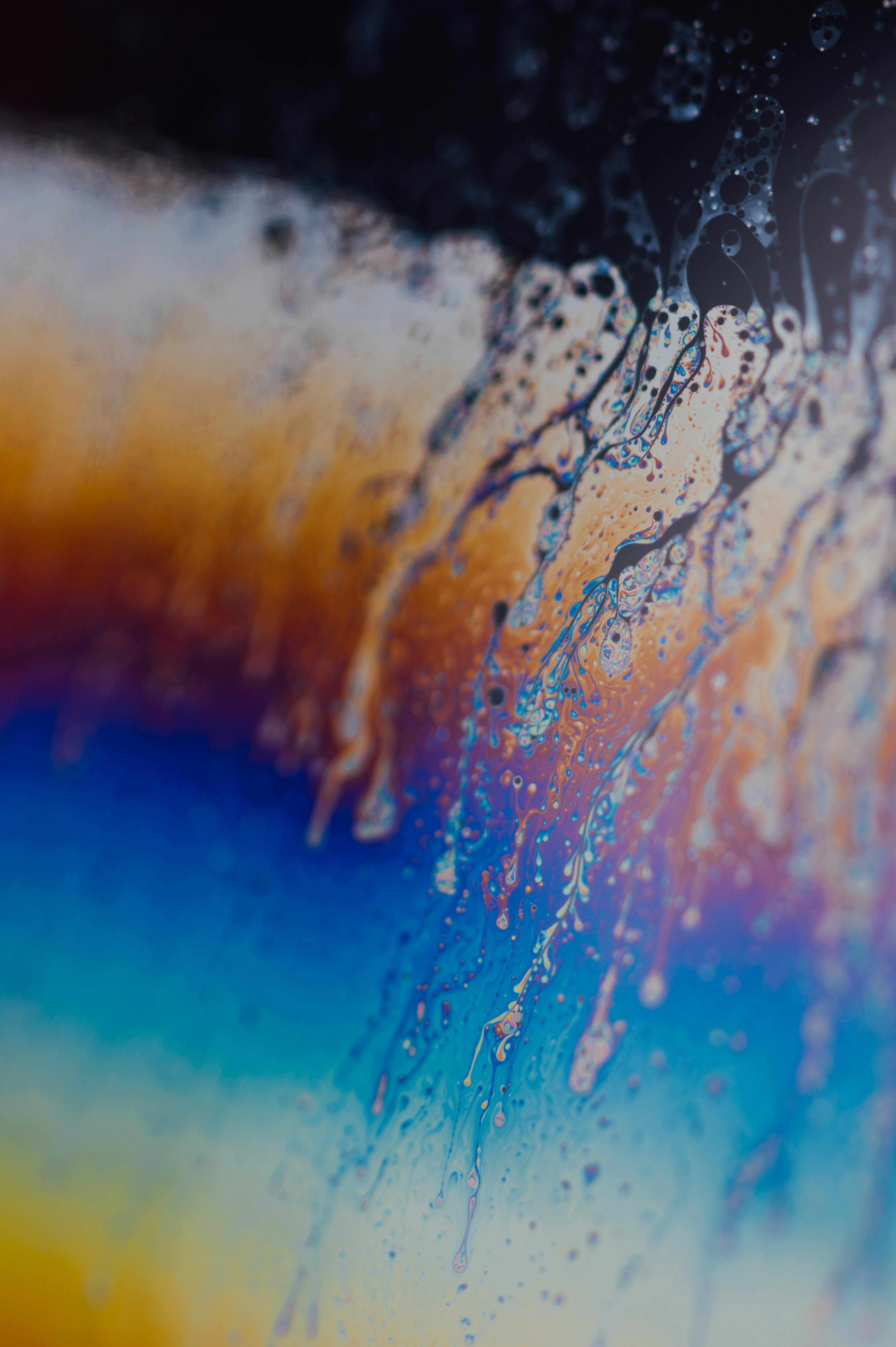 Photo by chuttersnap