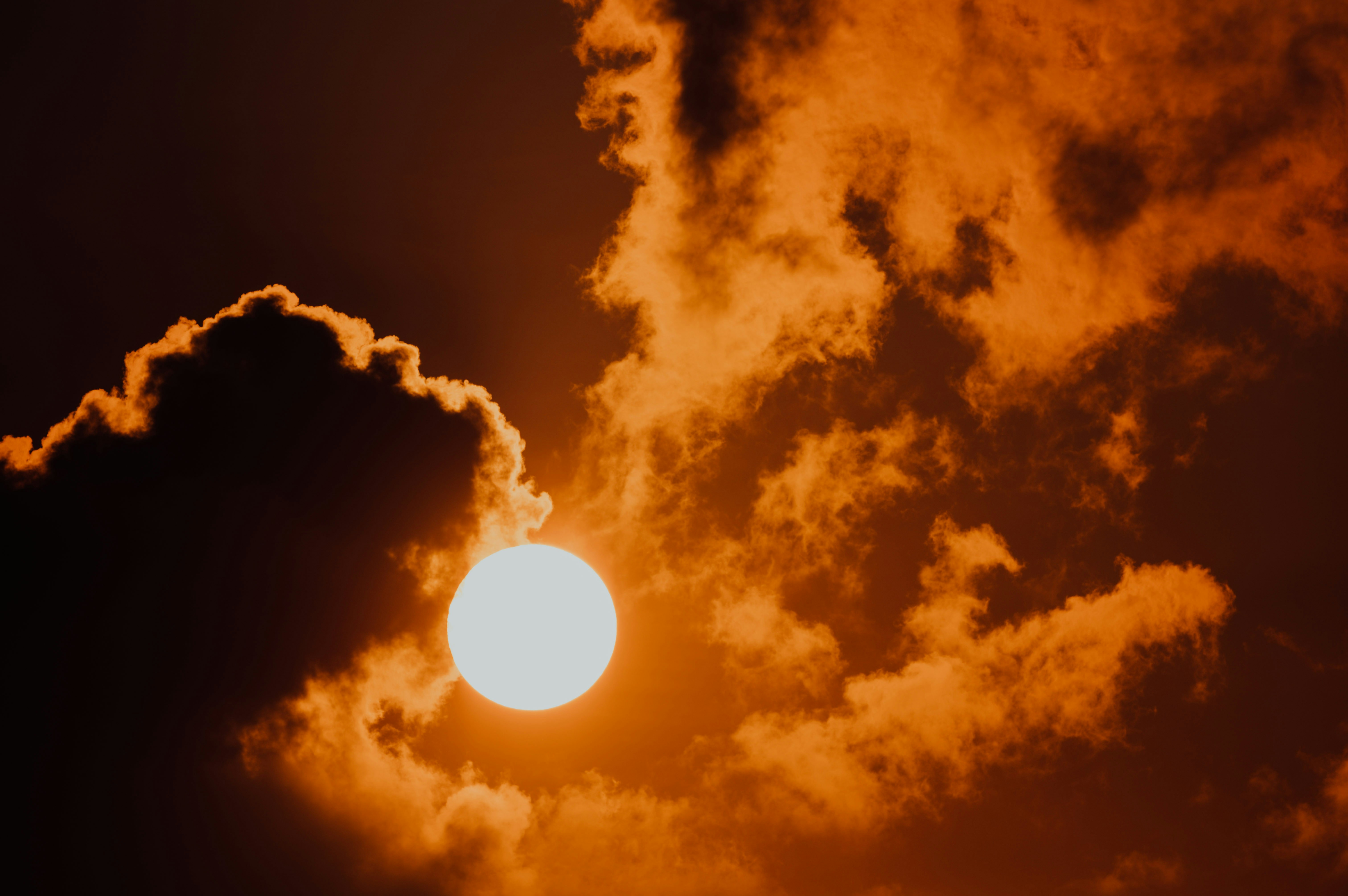 Photo by chuttersnap