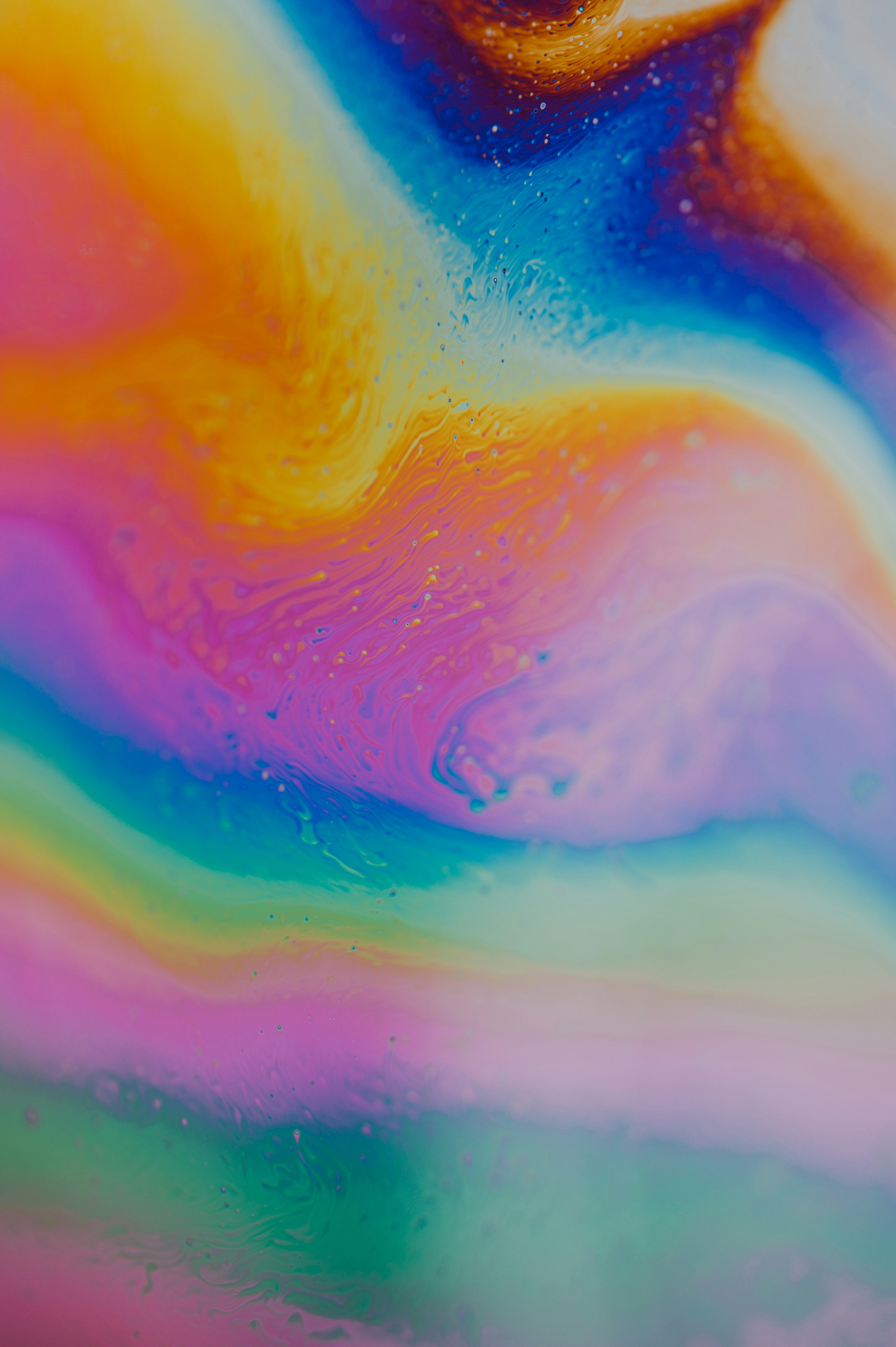 Photo by chuttersnap