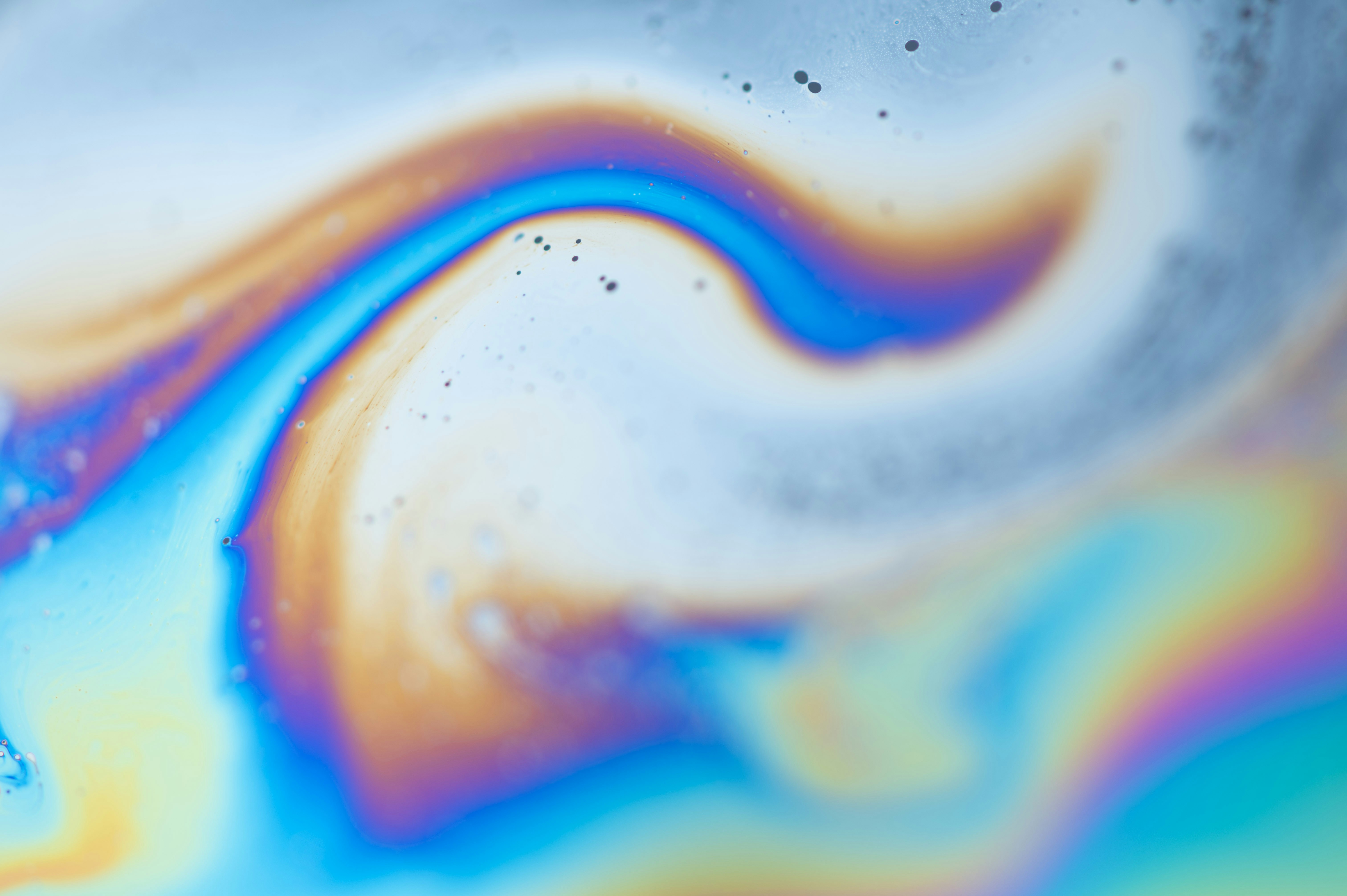 Photo by chuttersnap