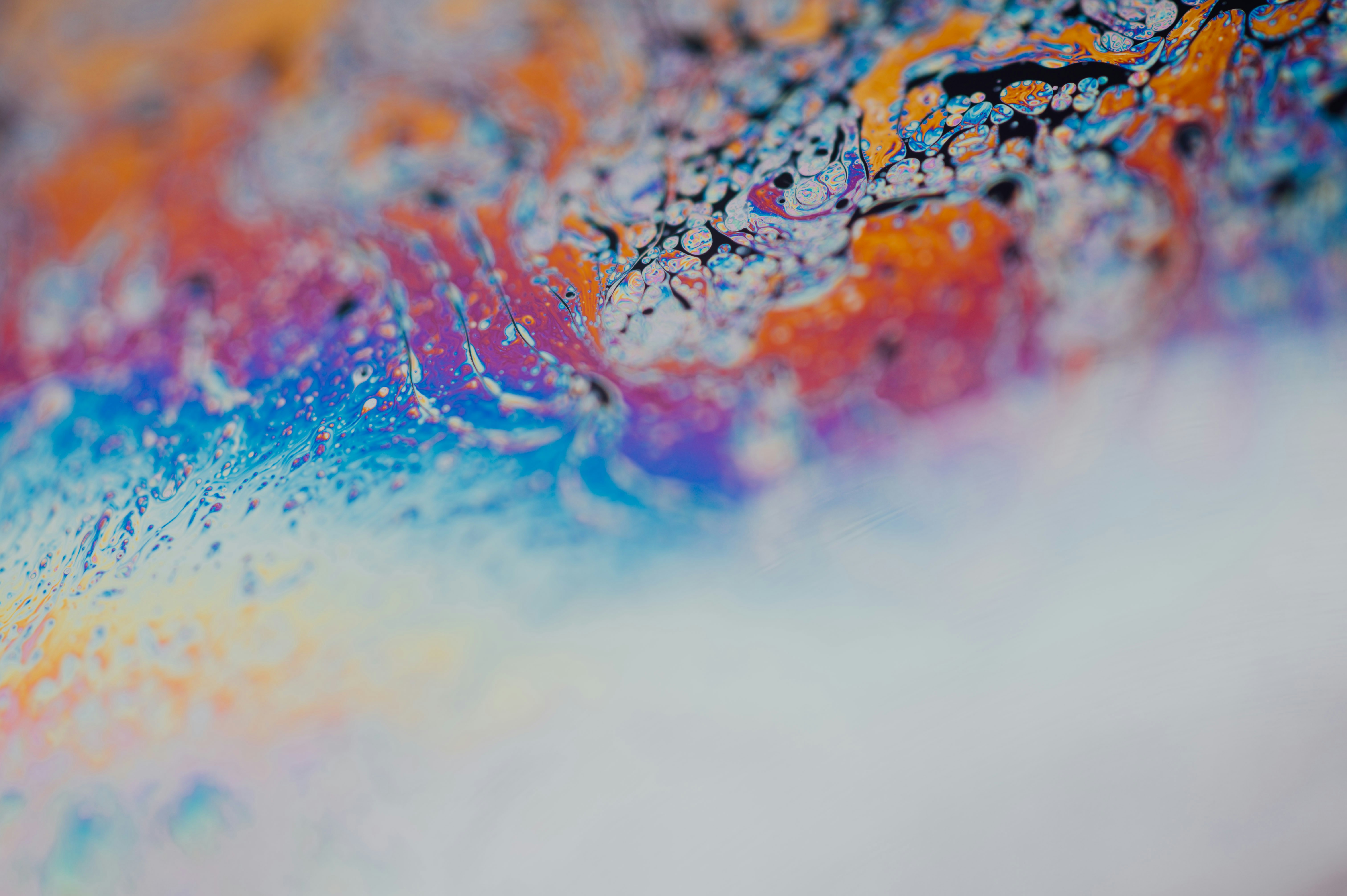 Photo by chuttersnap