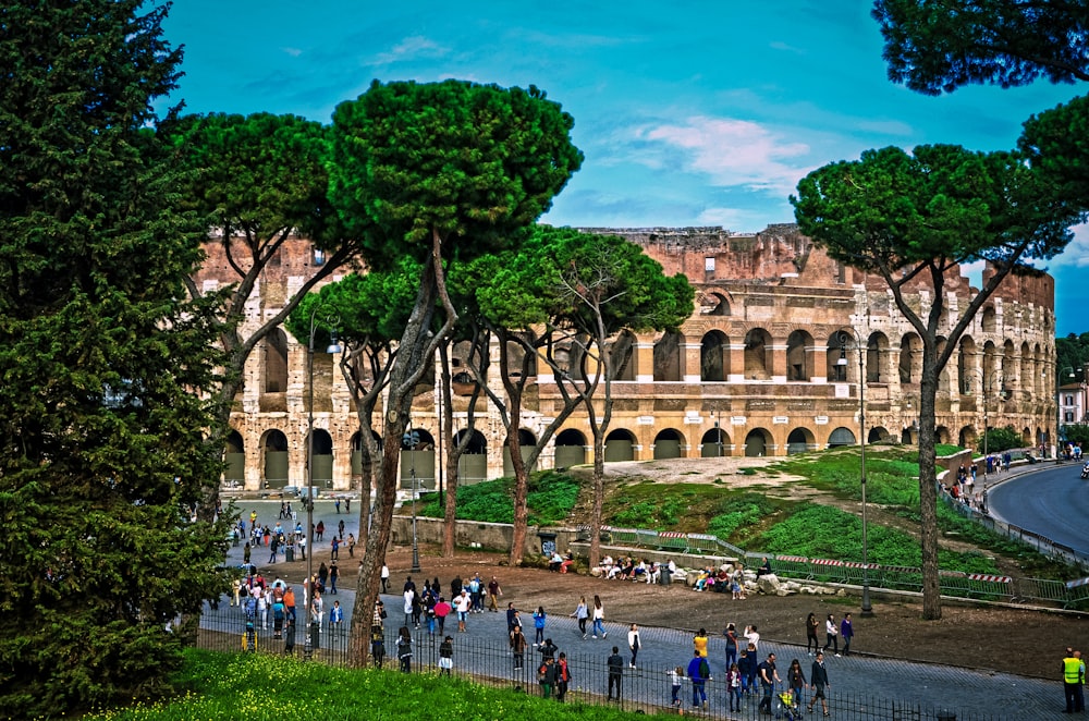 people walking on street near trees and building during daytime