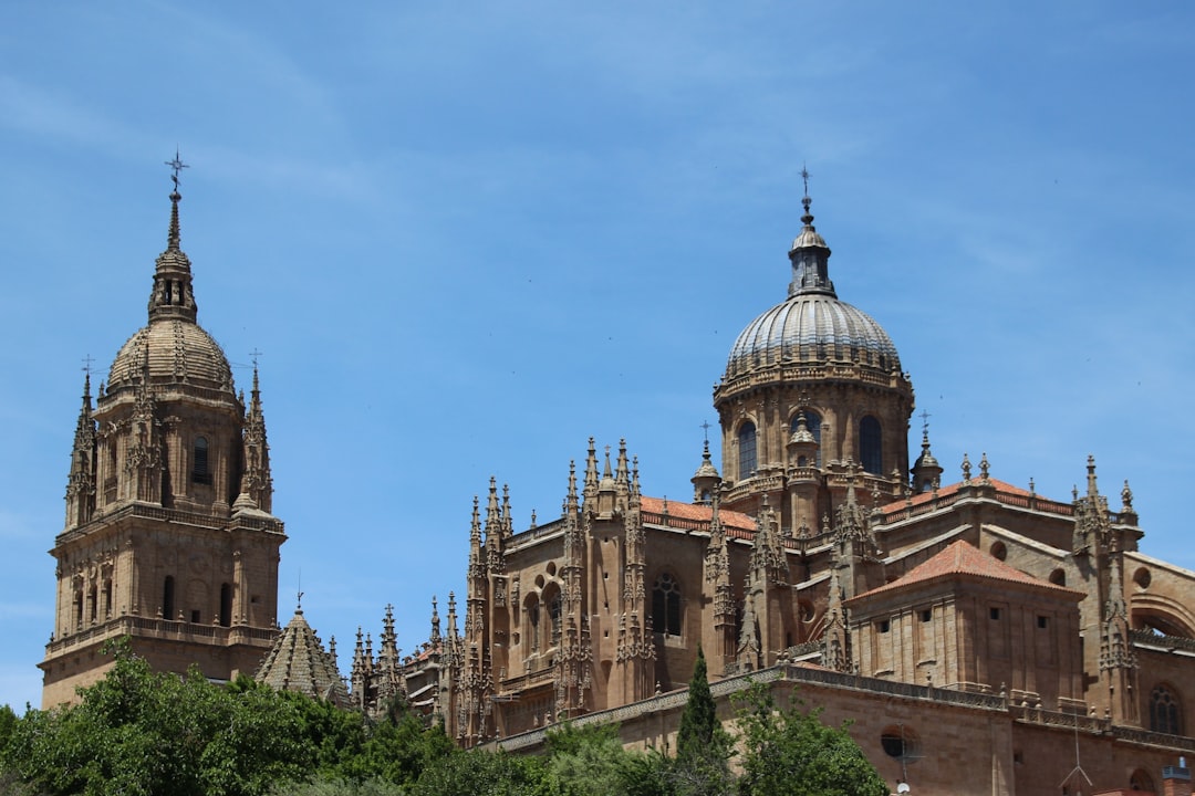 brown concrete building under blue sky during daytime in New Cathedral Spain