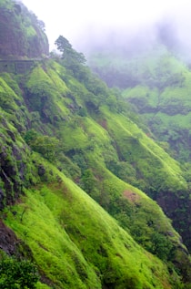 green grass covered mountain during daytime