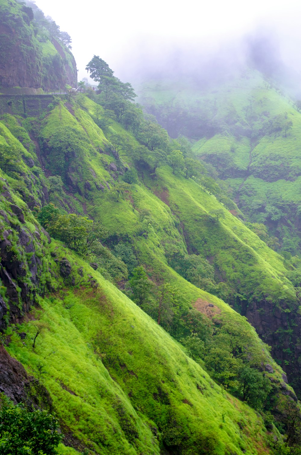 green grass covered mountain during daytime