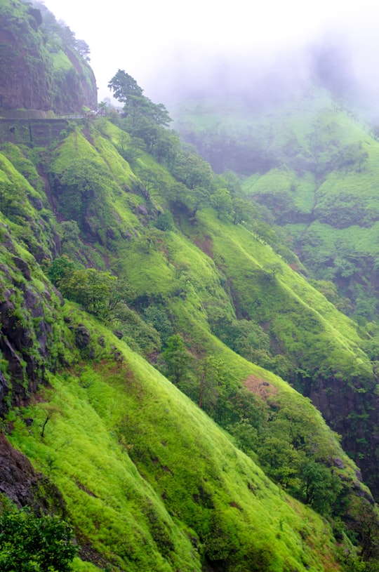 green grass covered mountain during daytime in Varandha Ghat India