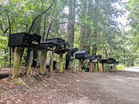A row of mismatched mailboxes stands on wooden posts along a dirt path in a wooded area. The trees surrounding the path are dense and lush, providing a green canopy. Sunlight filters through the leaves, casting dappled shadows on the ground. An orange traffic cone is placed near the mailboxes, and the path leads off into the forest.