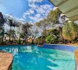 A peaceful morning scene of a luxury hotel pool surrounded by blooming flowers and palm trees.