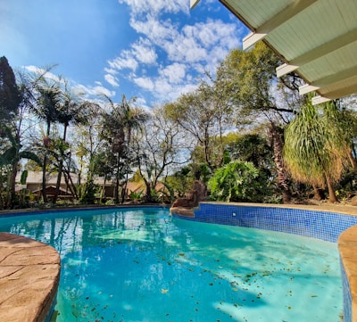 A peaceful morning scene of a luxury hotel pool surrounded by blooming flowers and palm trees.