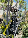 A serene garden scene featuring a rustic wooden structure resembling a treehouse with a small statue of a contemplative figure inside. The structure is surrounded by lush greenery, including various types of cacti and succulents. Branches and leaves provide a natural frame around the structure, while sunlight casts soft shadows, adding depth to the scene.