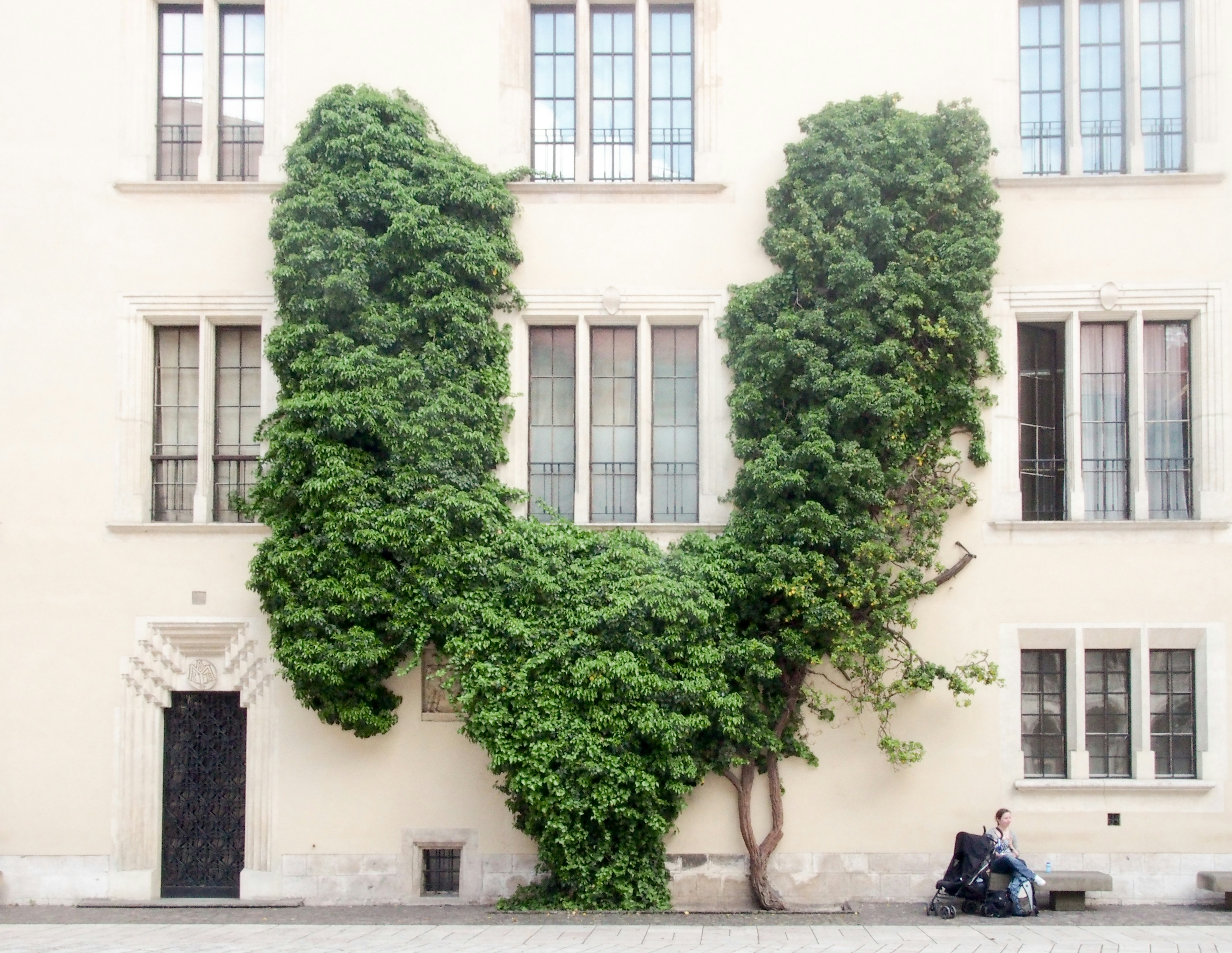 green tree in front of white concrete building