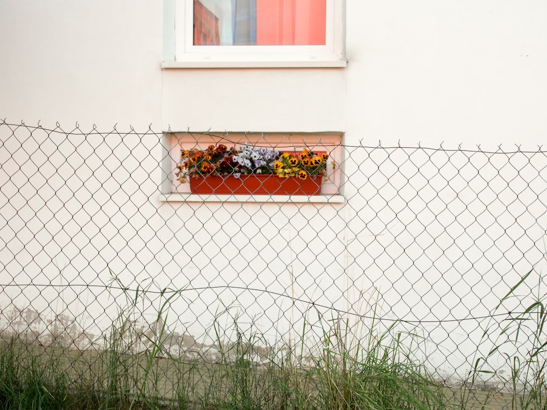 red and yellow flowers in brown wooden box on white concrete wall