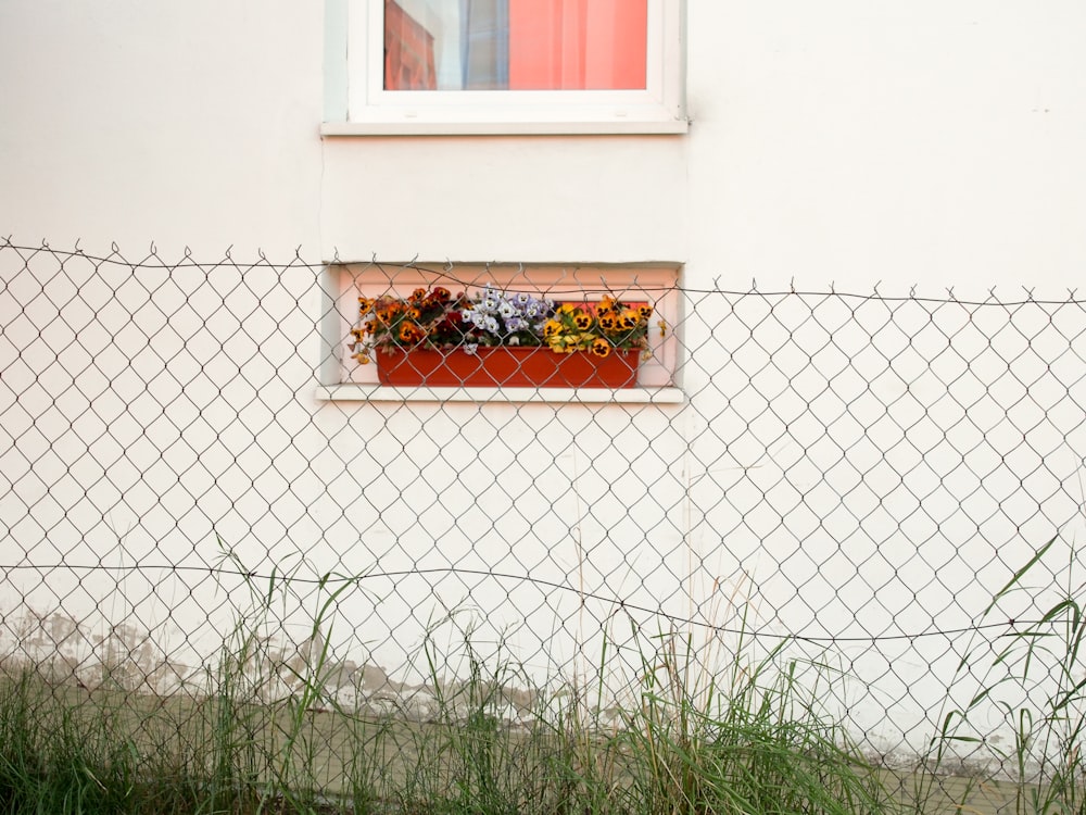 flores rojas y amarillas en caja de madera marrón sobre pared de hormigón blanco