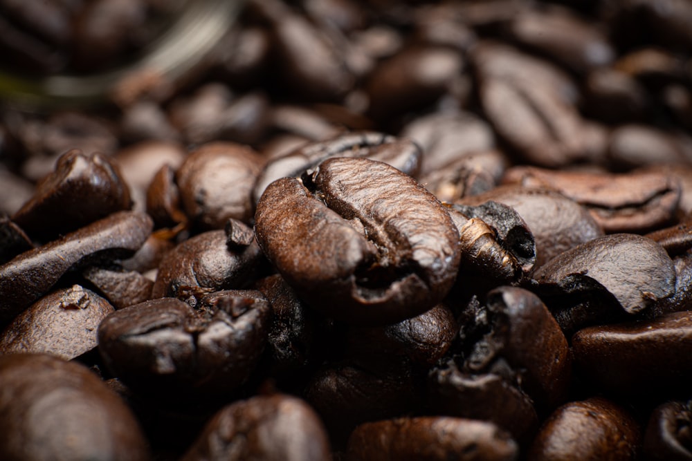 brown coffee beans in tilt shift lens