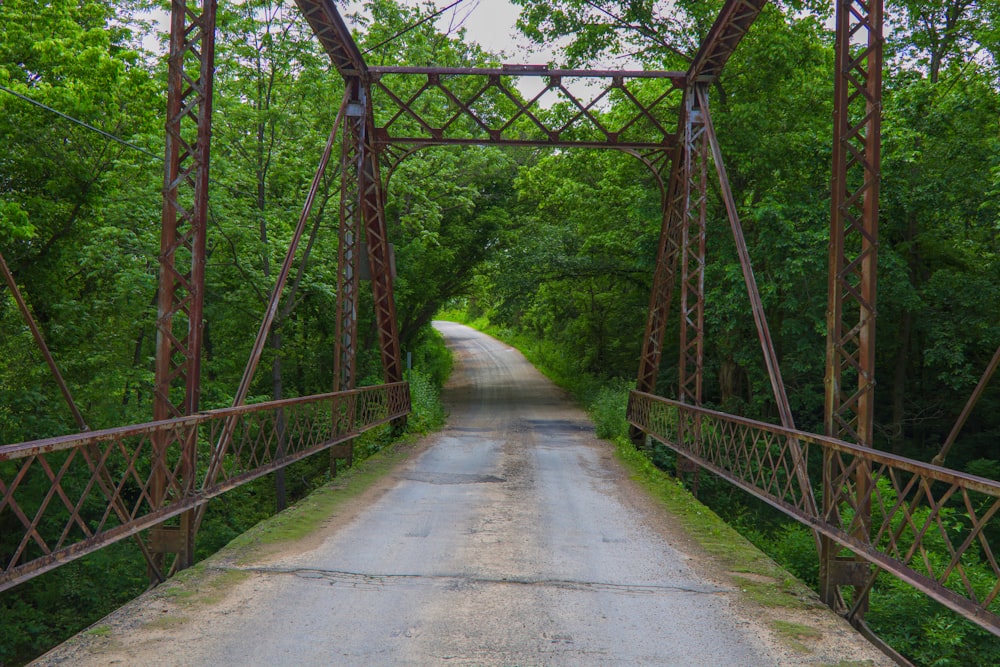 昼間の空っぽの茶色い木の橋