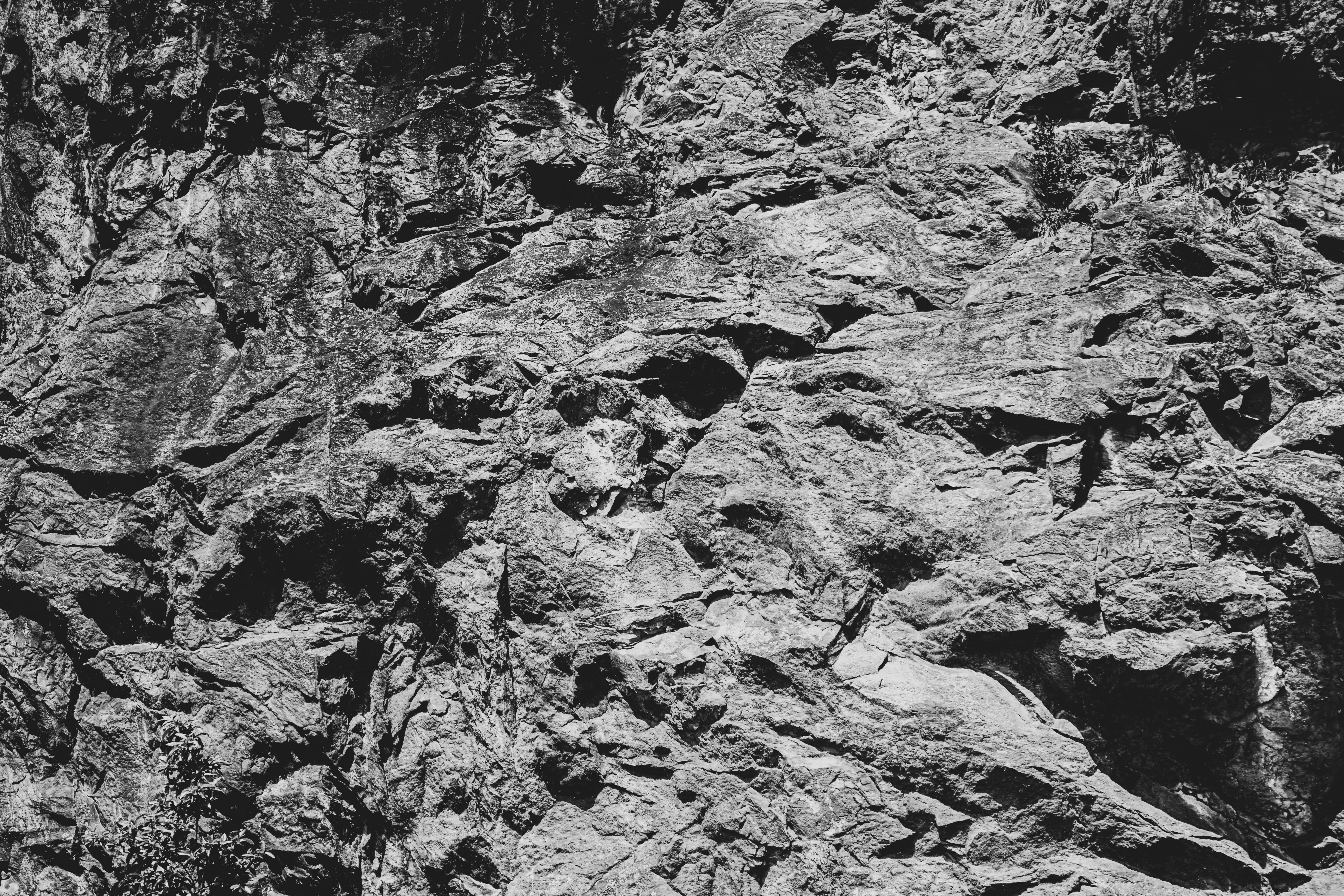 Photo by taiscaptures