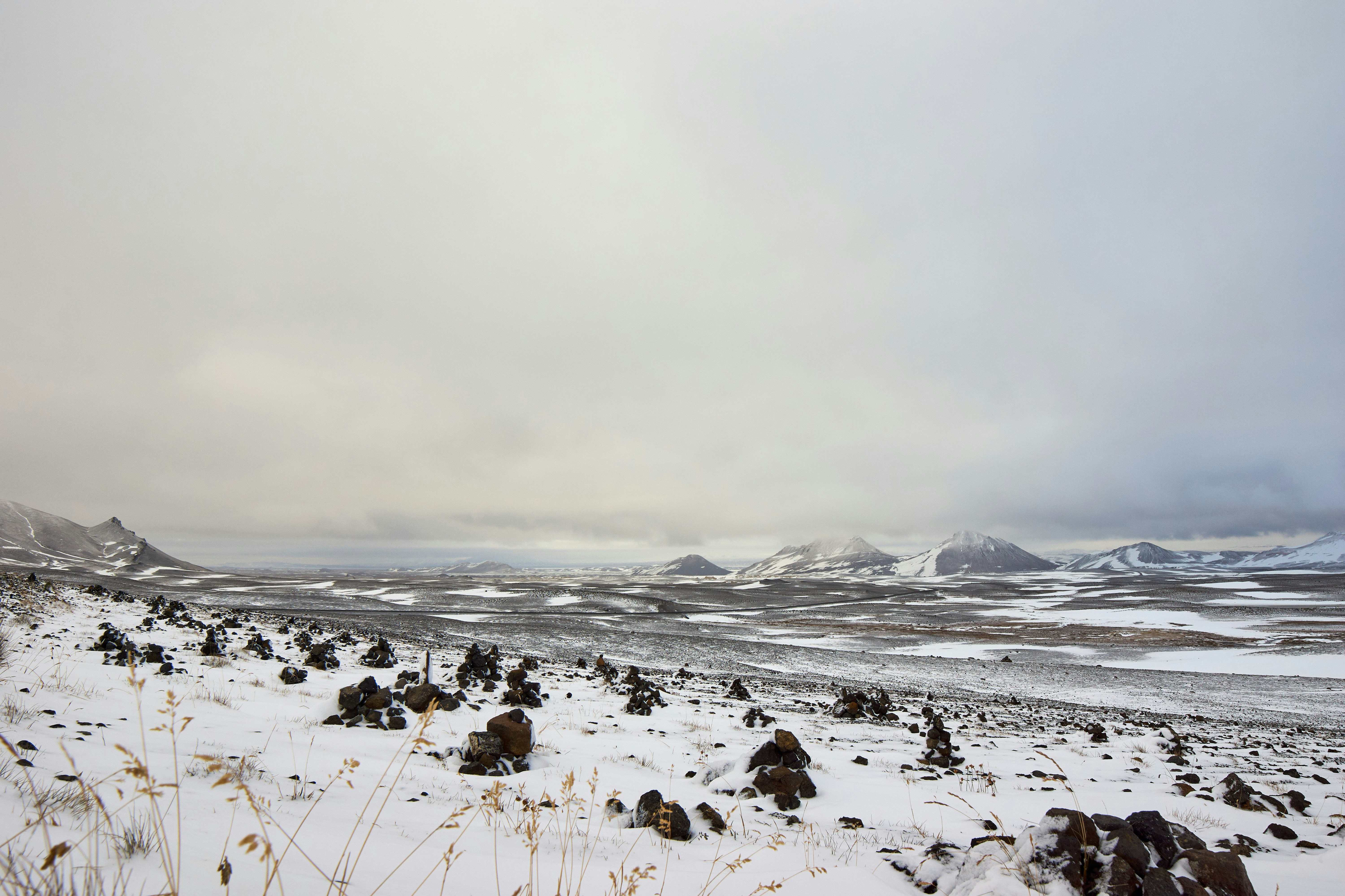 Photo by wolfgang_hasselmann