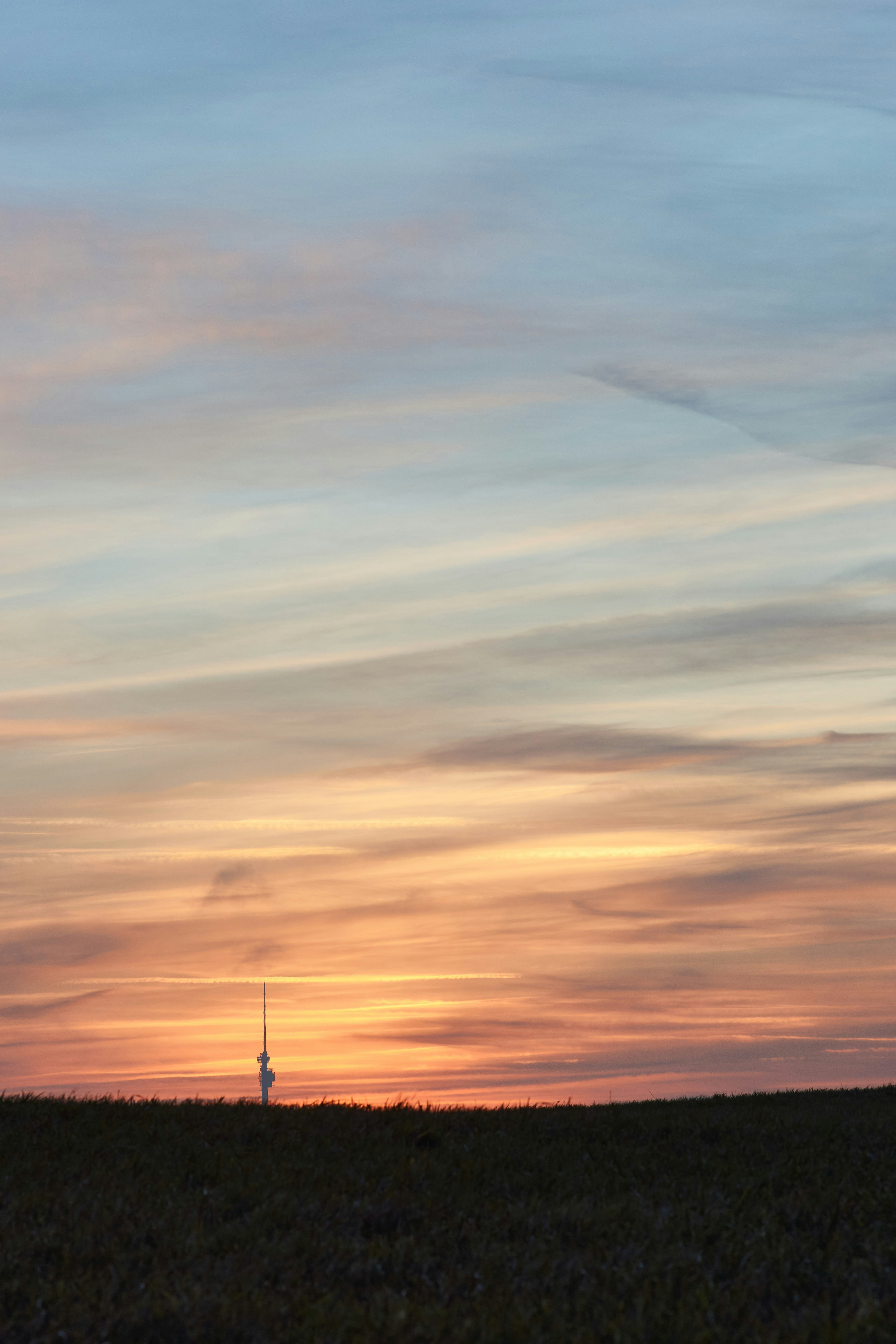 Photo by wolfgang_hasselmann