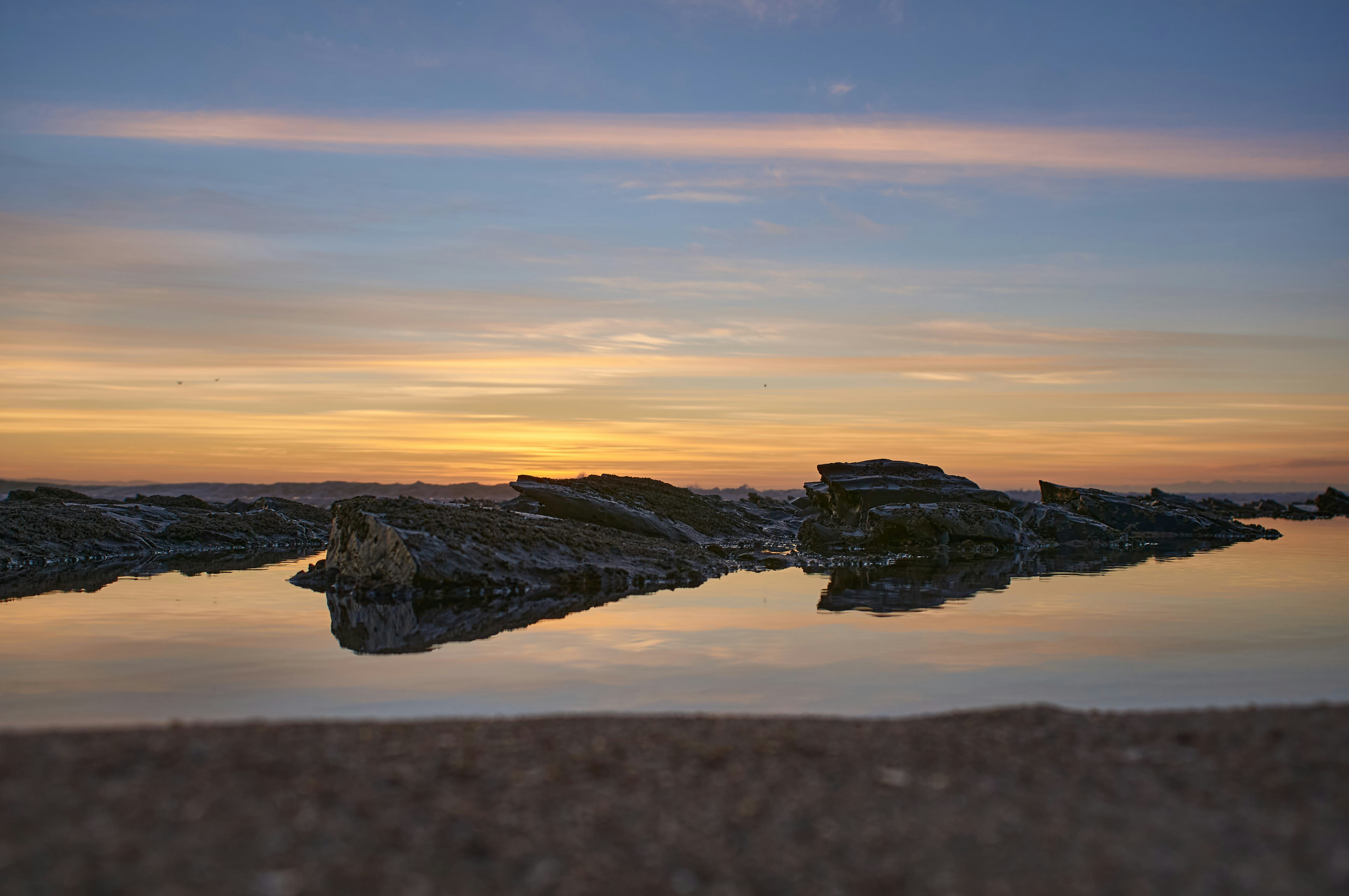 Photo by wolfgang_hasselmann