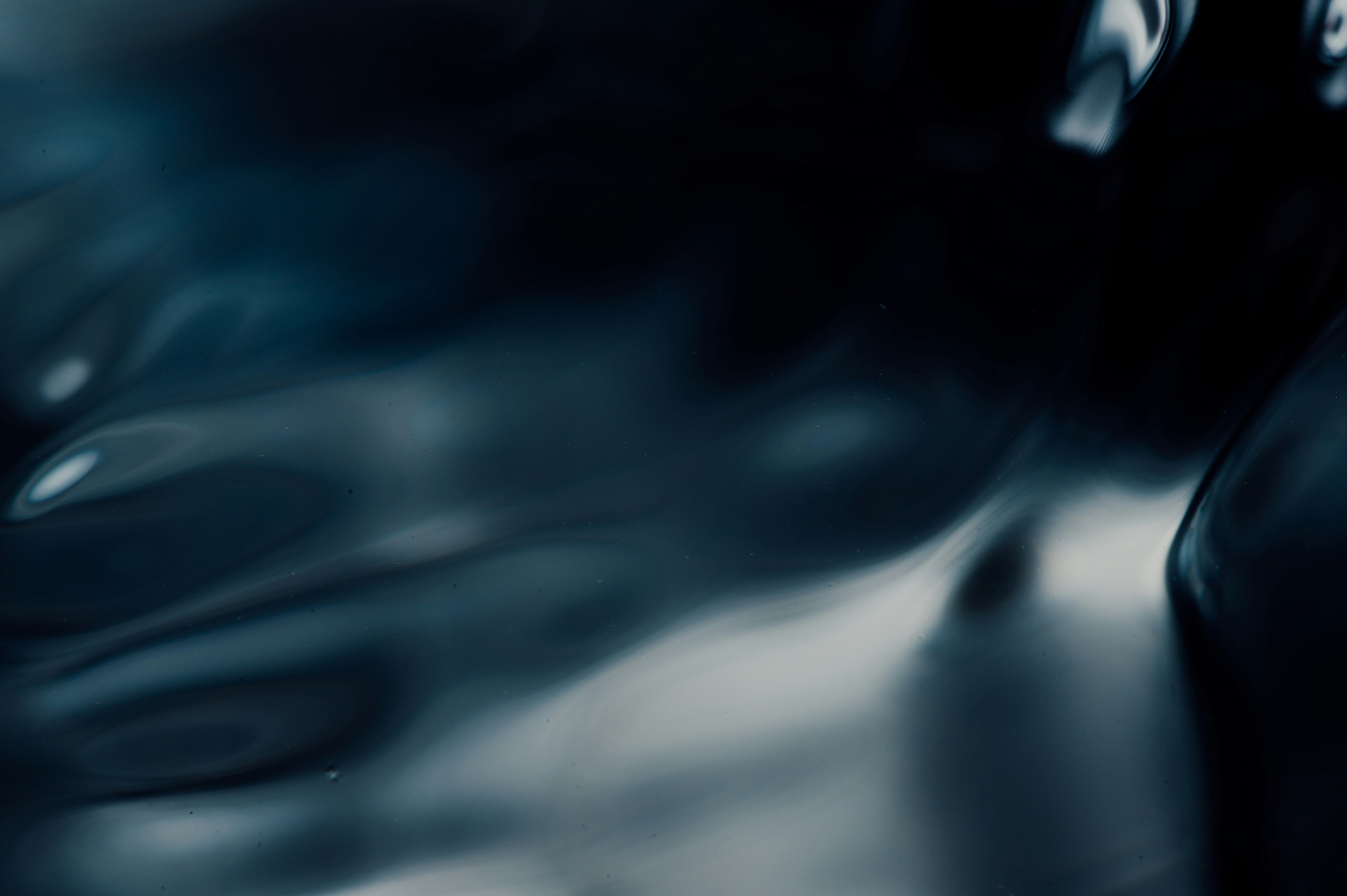 Photo by chuttersnap