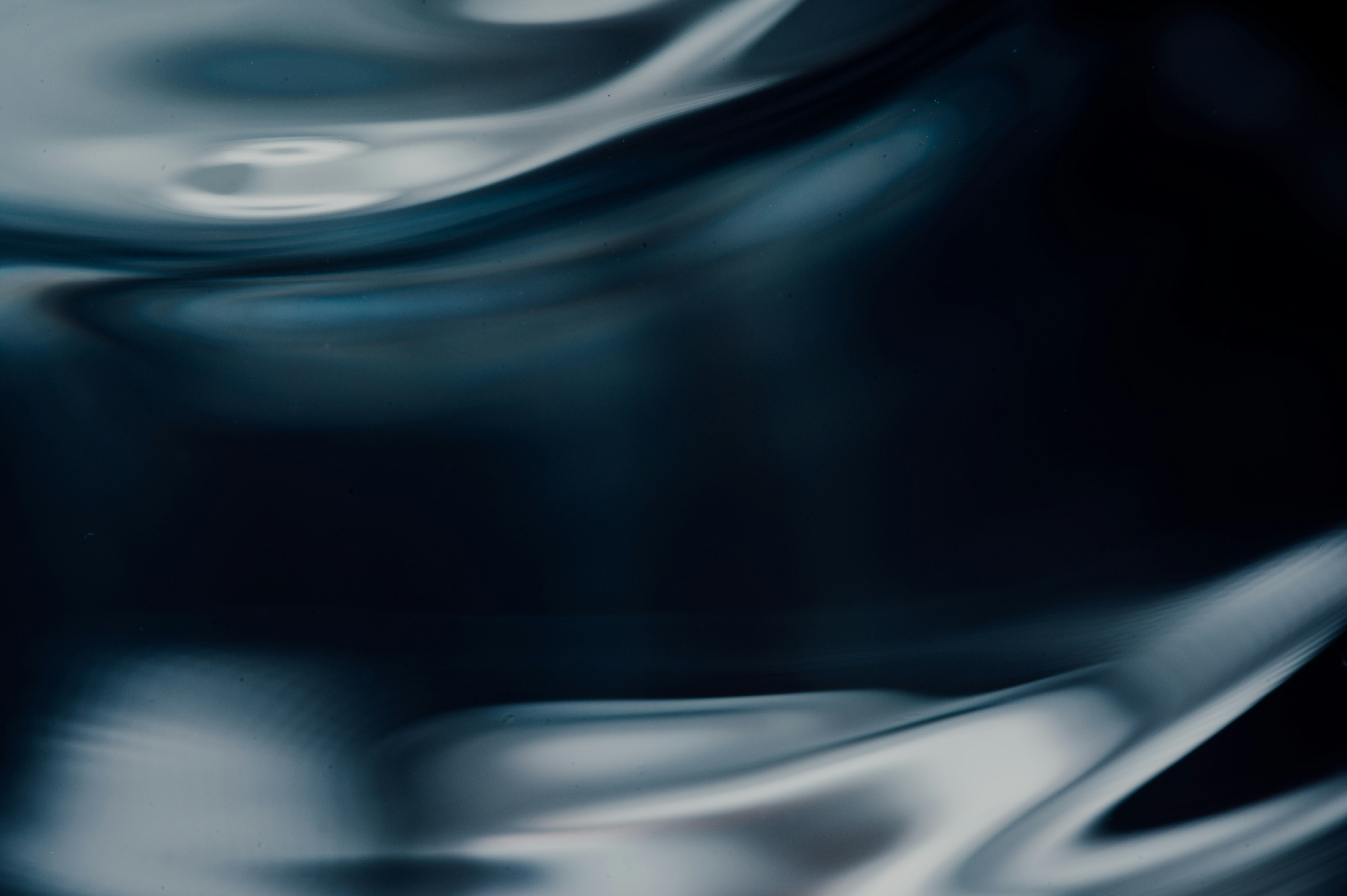 Photo by chuttersnap