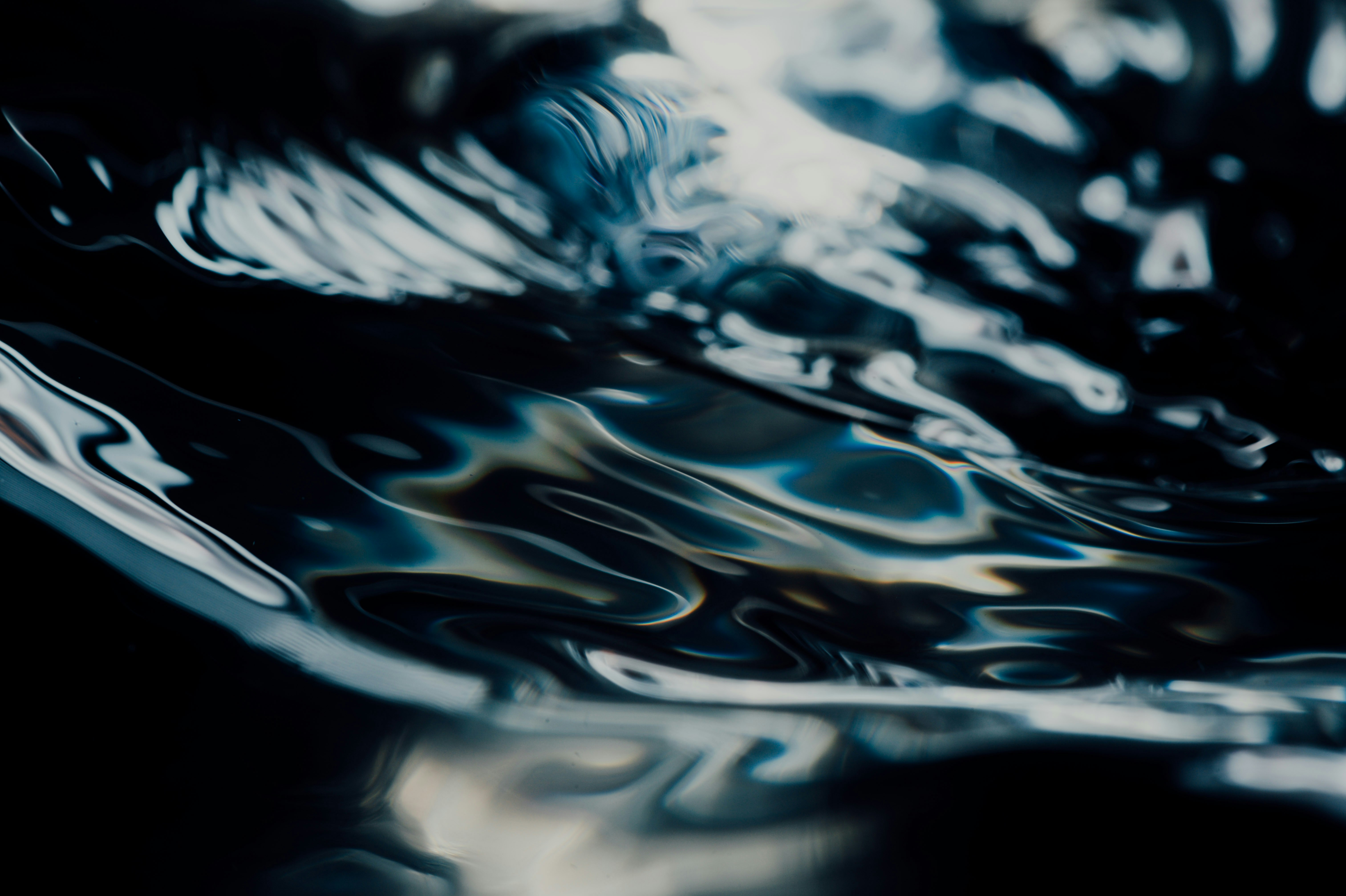 Photo by chuttersnap