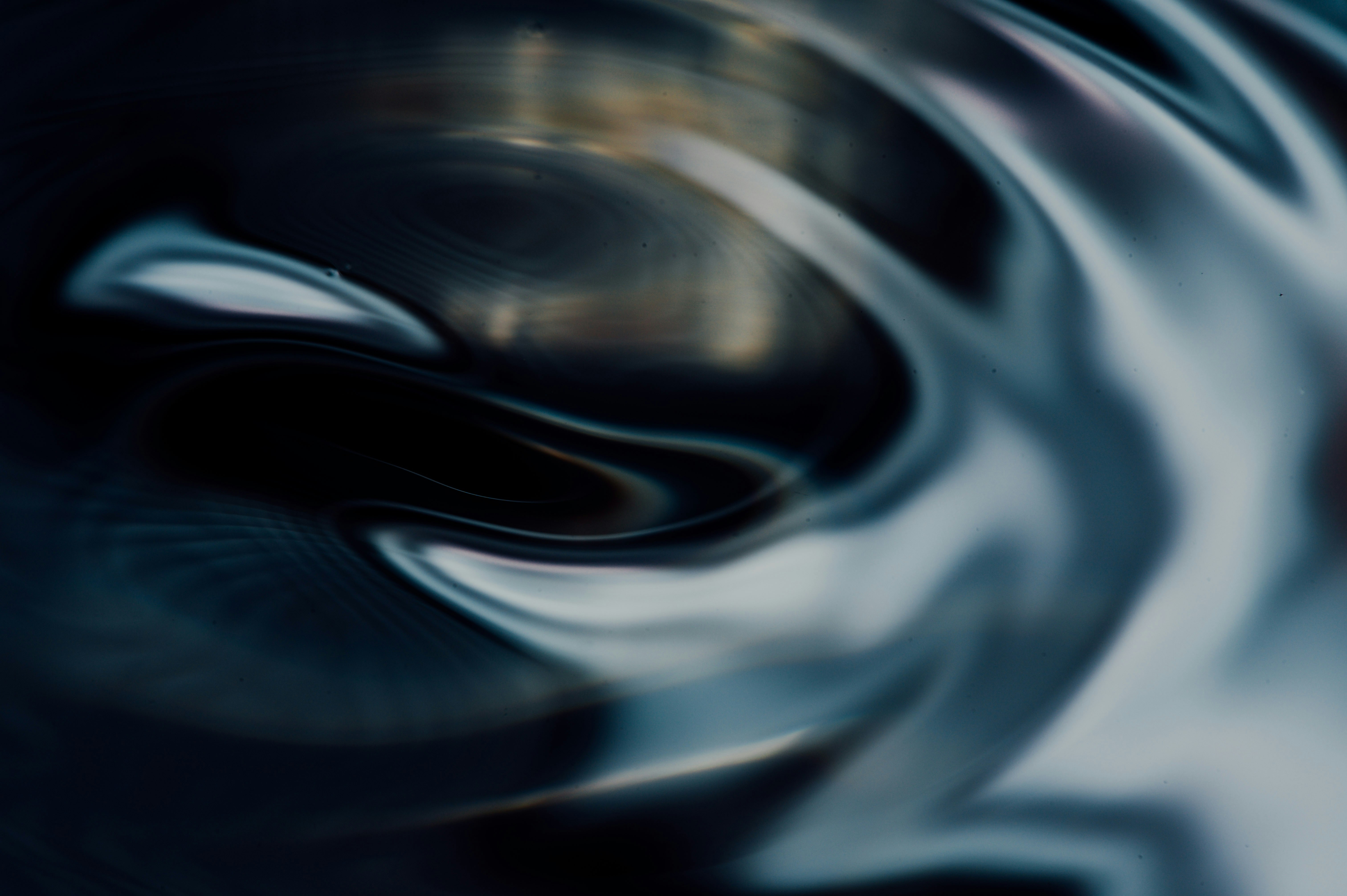 Photo by chuttersnap