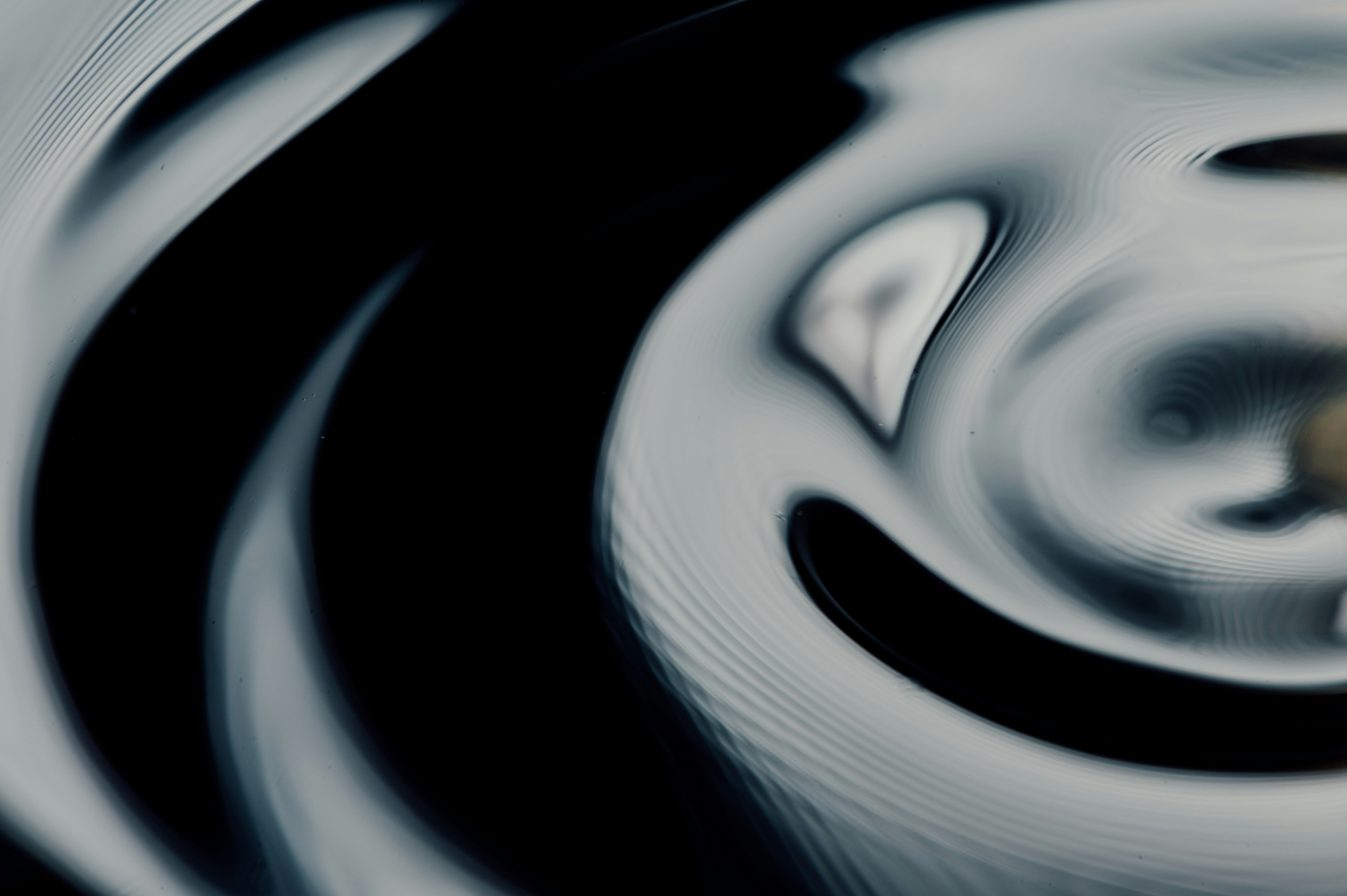 Photo by chuttersnap