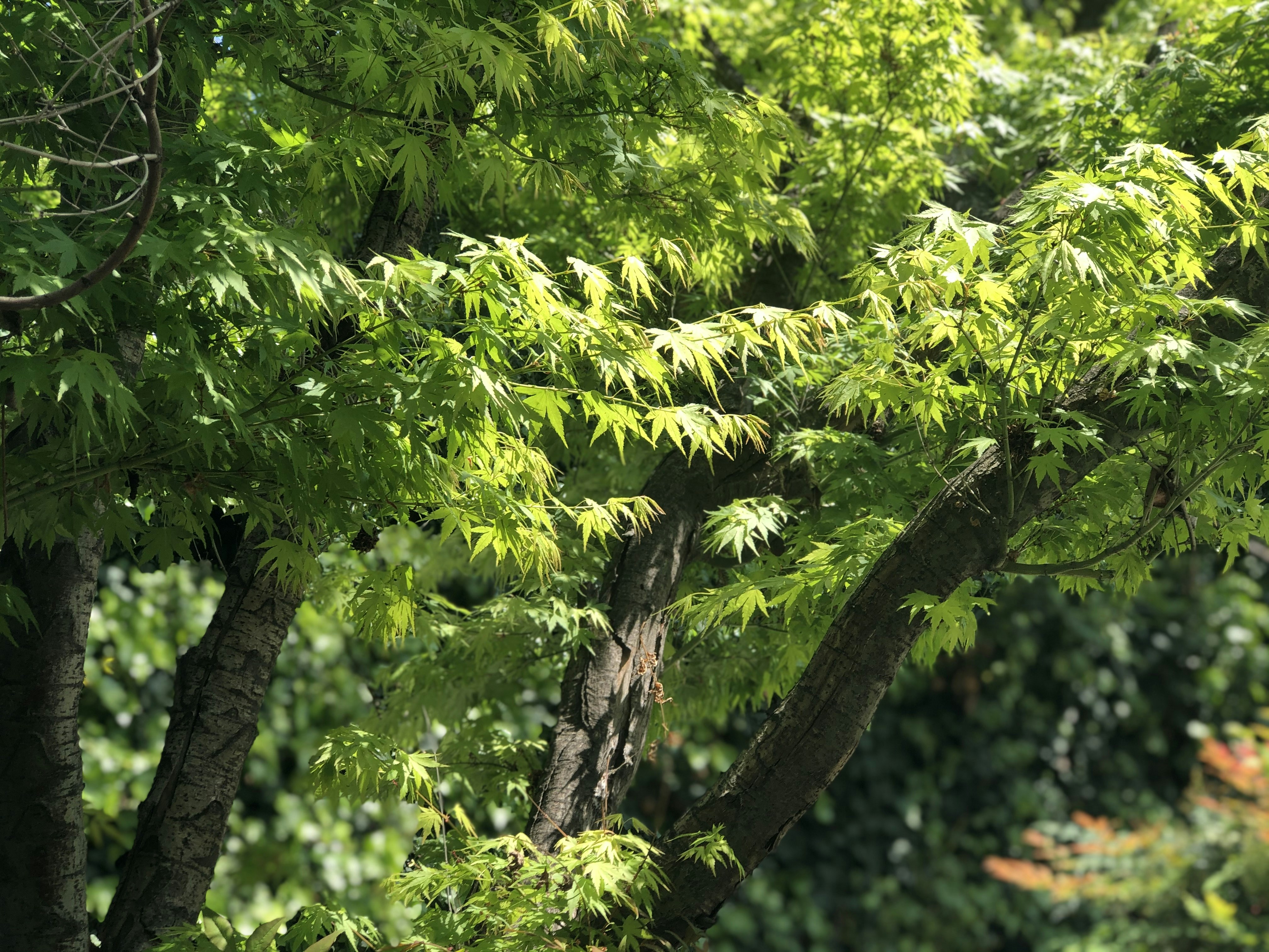 Photo by photography_yeti