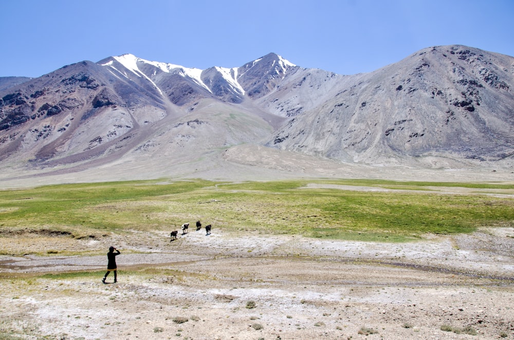 2 pessoas andando no campo de grama verde perto da montanha cinza durante o dia