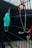 A stethoscope with red tubing is hanging on a black metal fence, and a surgical mask is also hanging next to it slightly blurred in the background.