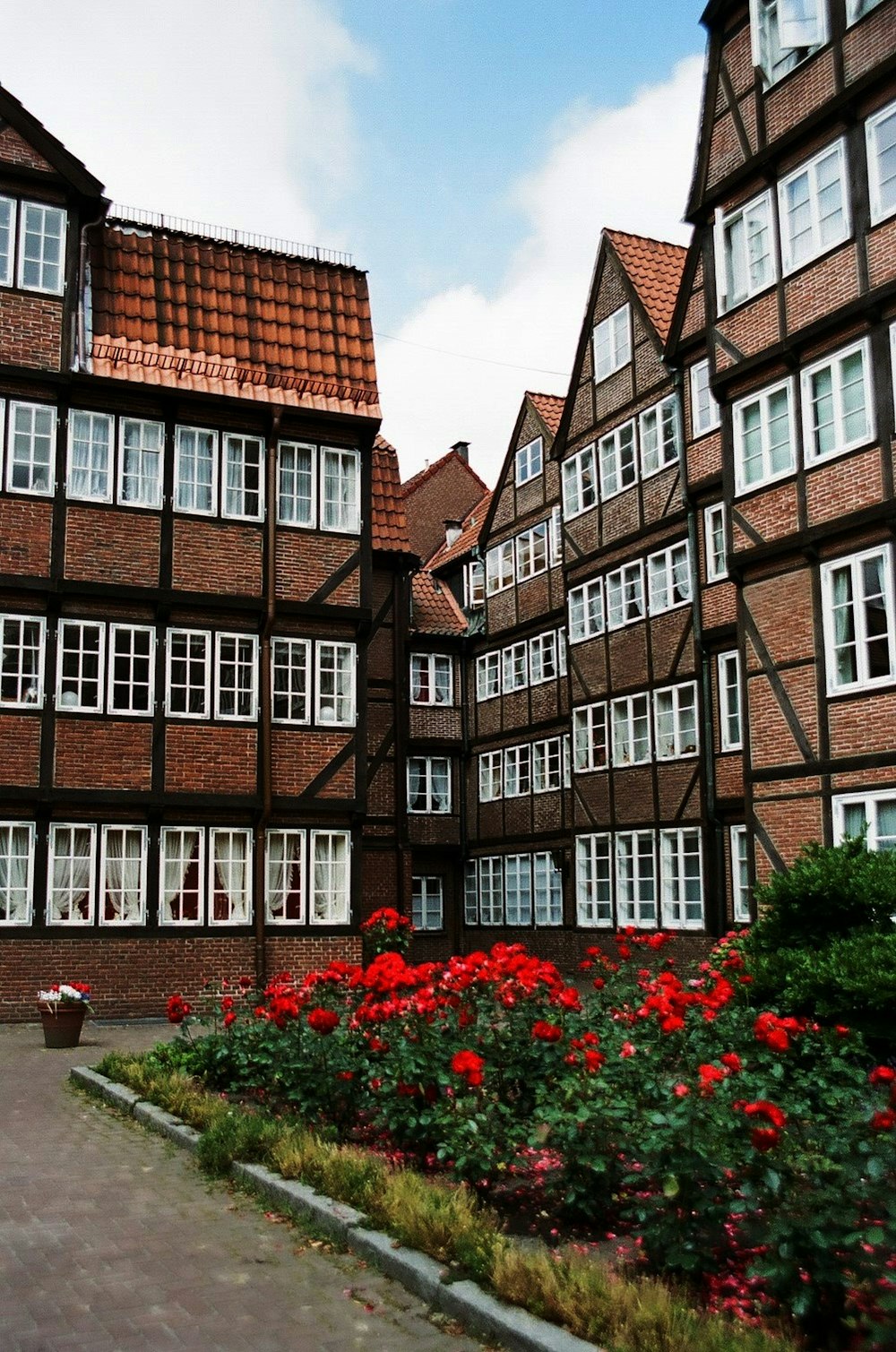 Edificio de hormigón marrón con flores rojas