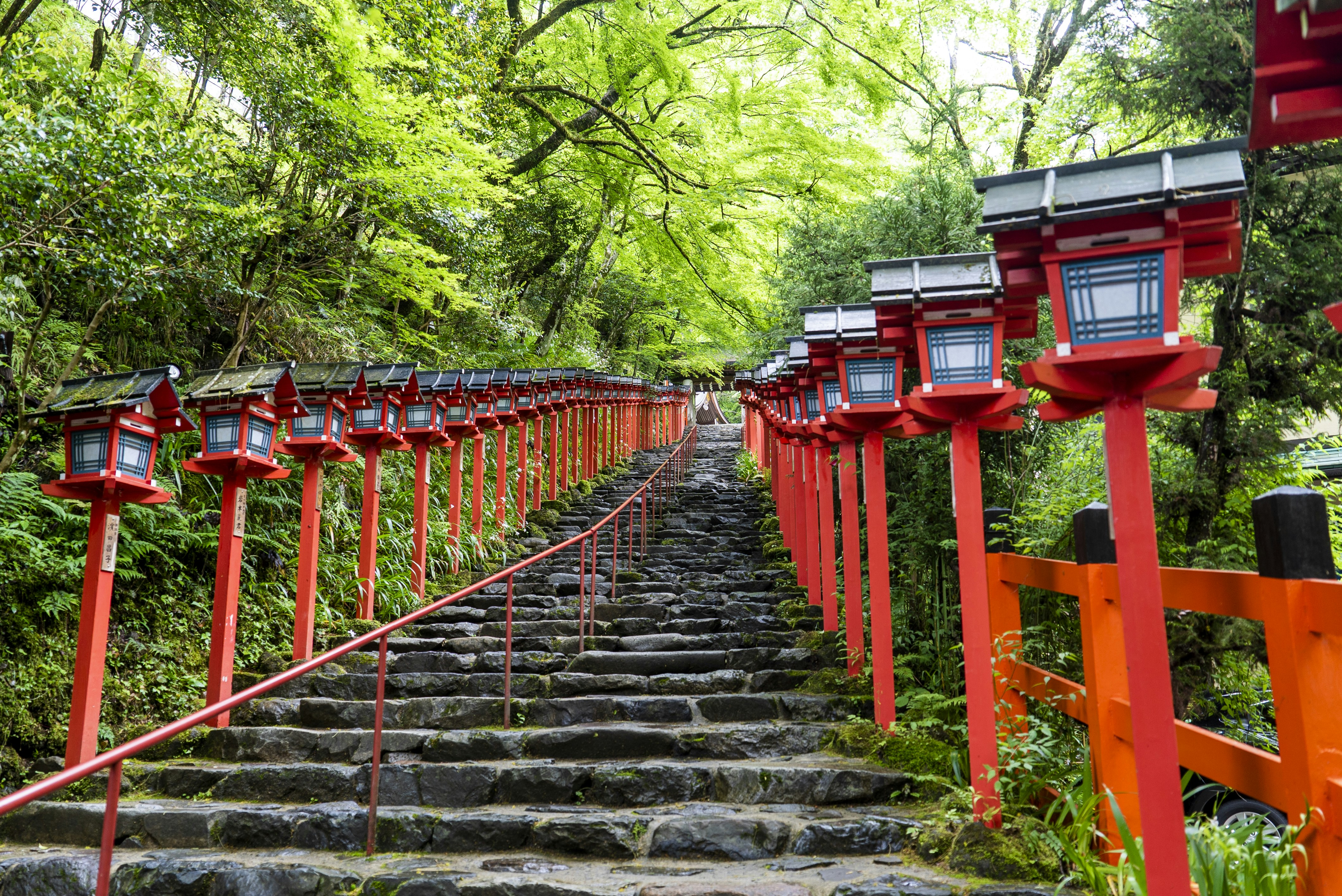 Photo by davidemrich