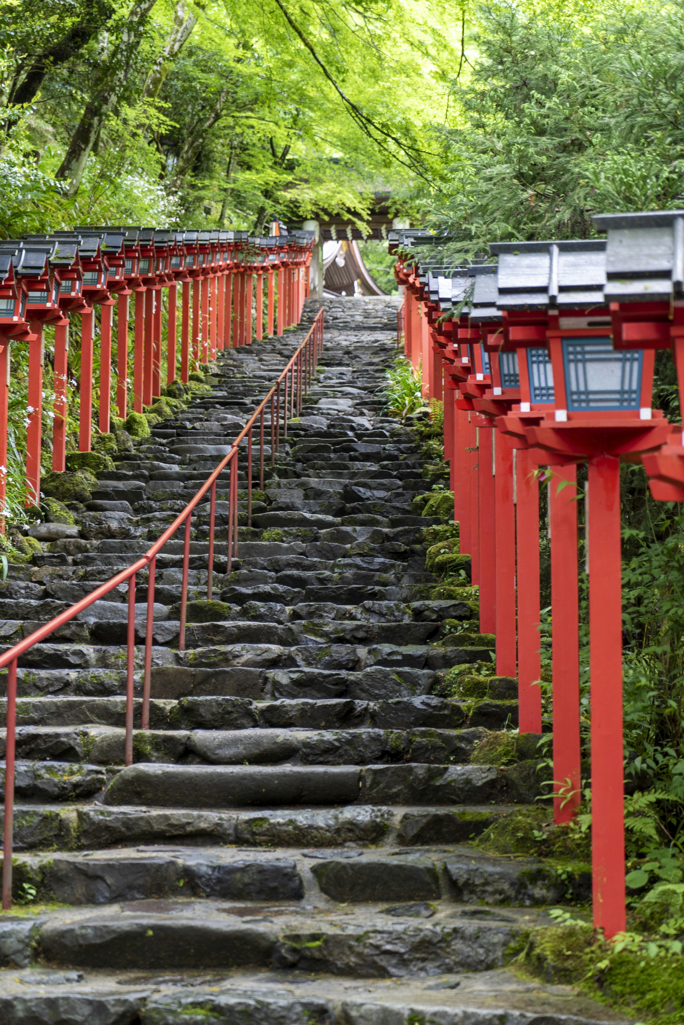 Photo by davidemrich