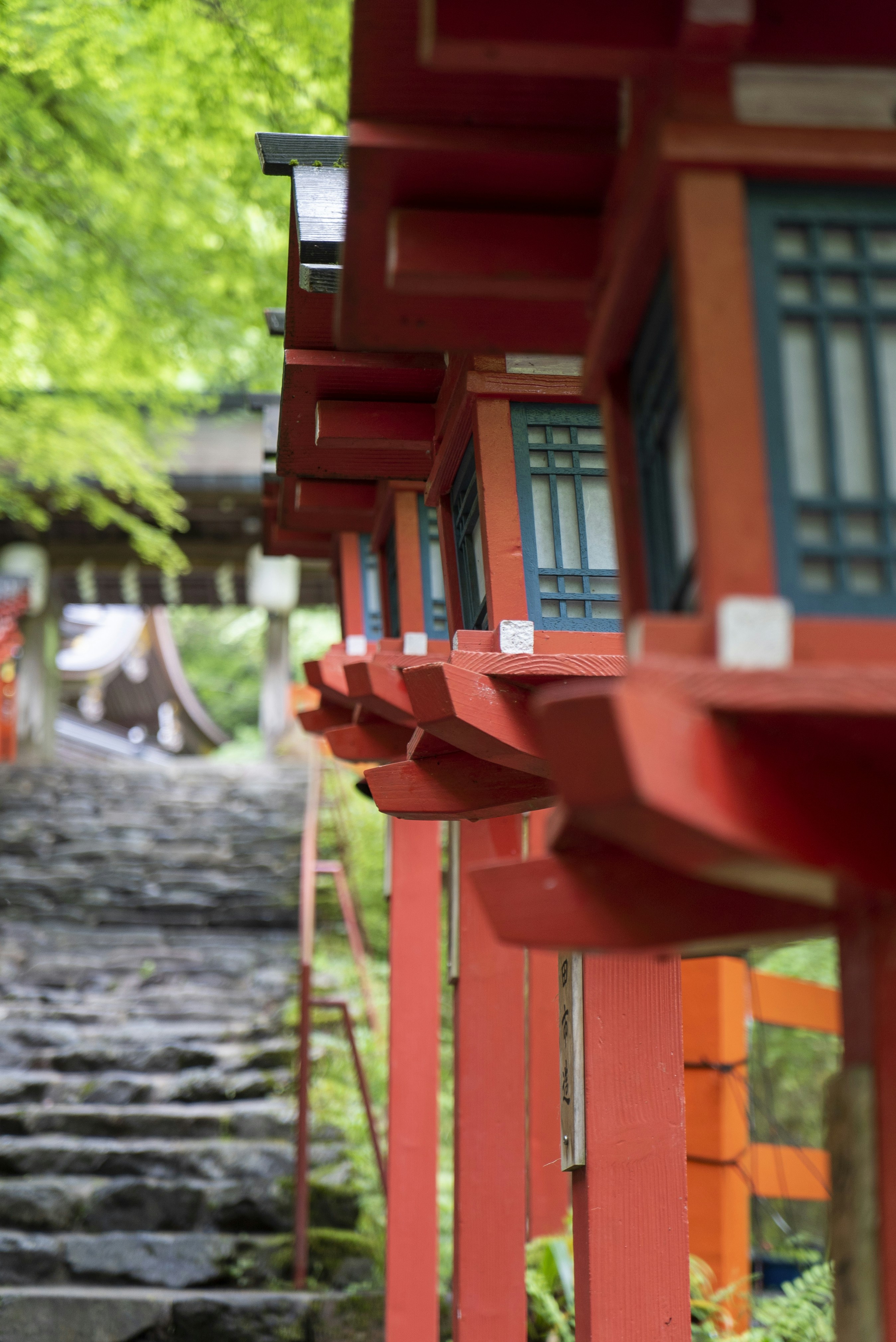 Photo by davidemrich