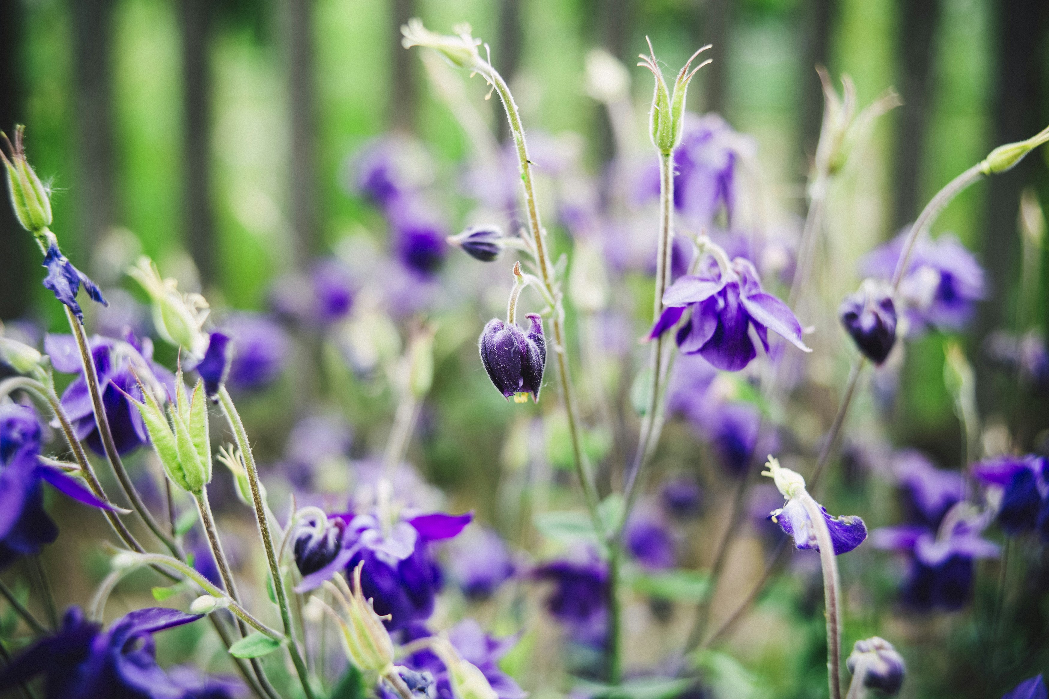 Photo by markusspiske