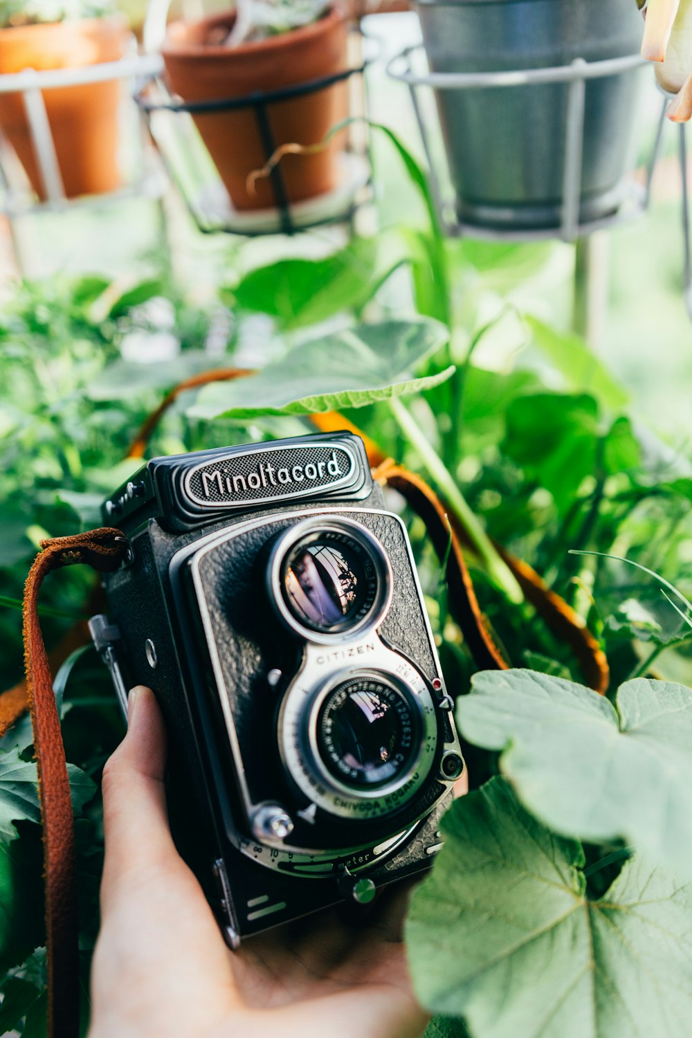 black nikon dslr camera on green leaves