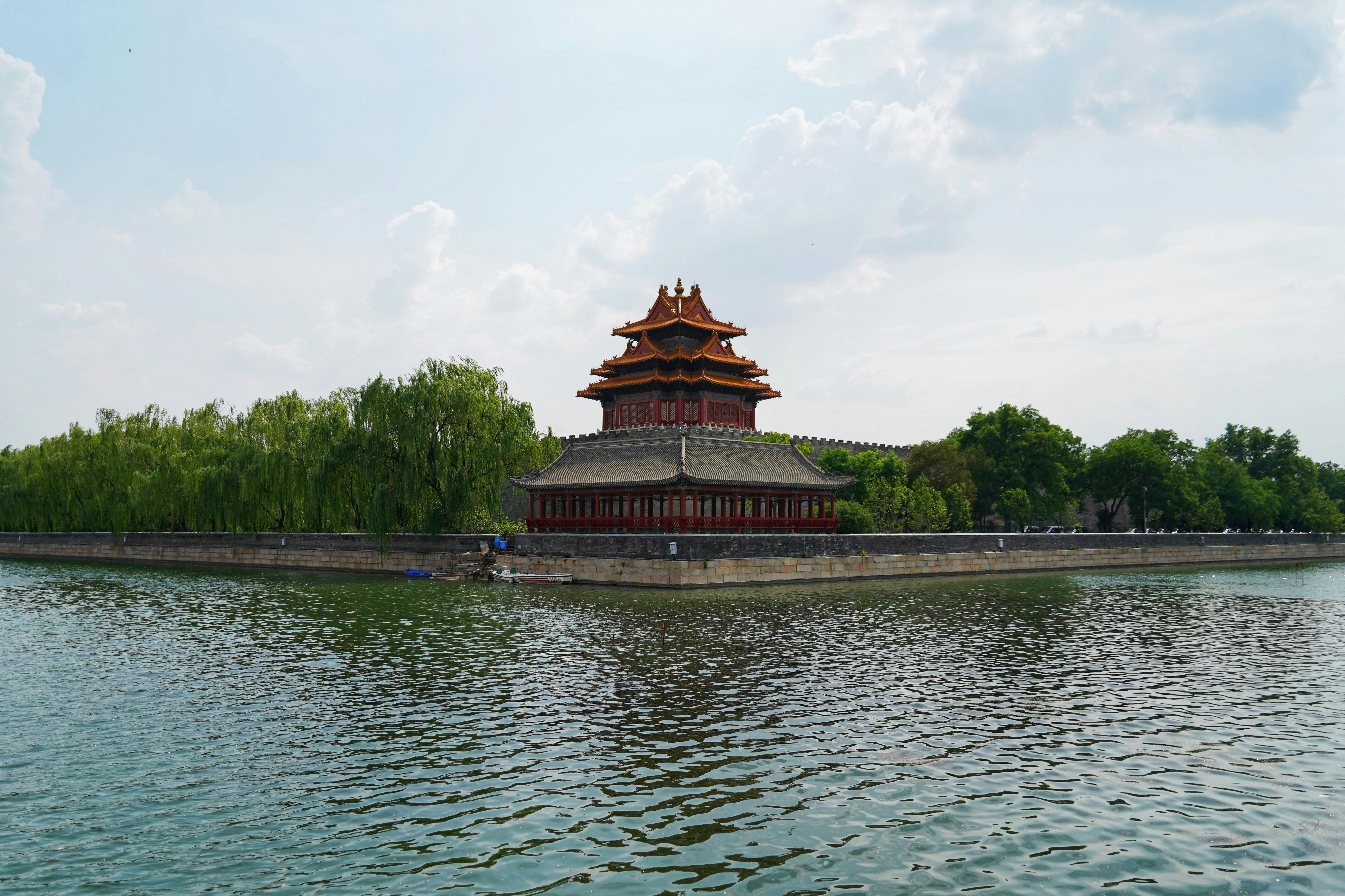 貓奴崩潰！獸醫爆料你家主子其實超討厭你做的這件事！😱