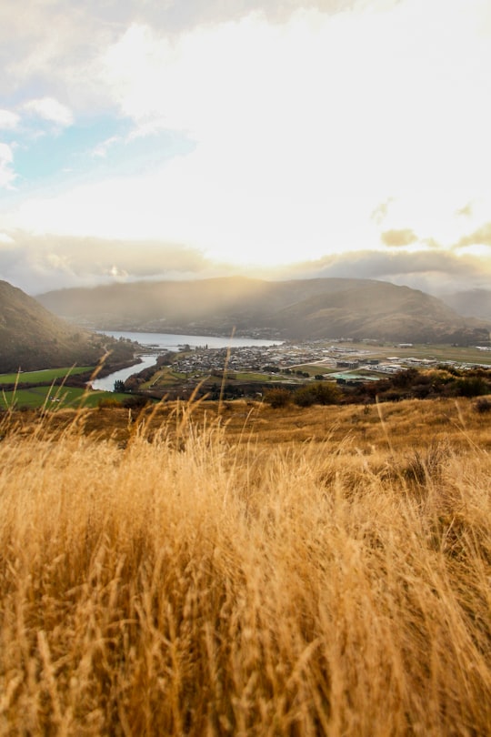brown grass field near body of water during daytime in Queenstown New Zealand