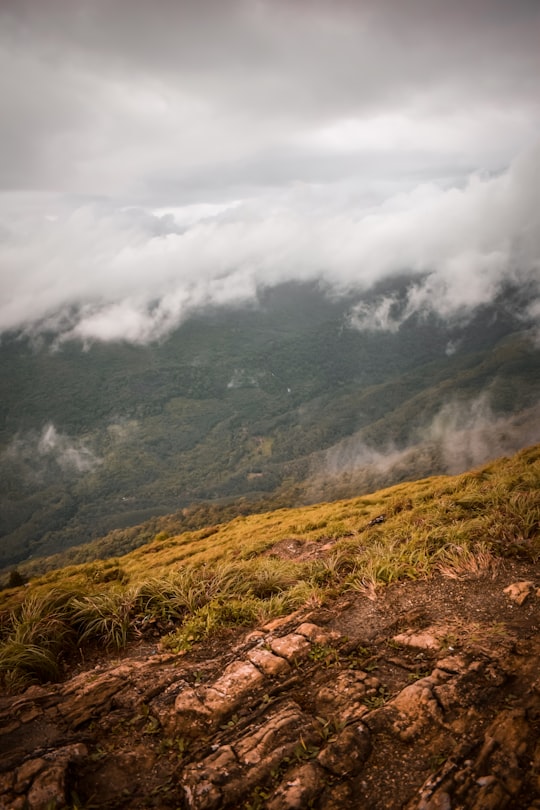 green and brown mountain under white clouds during daytime in Ponmudi India