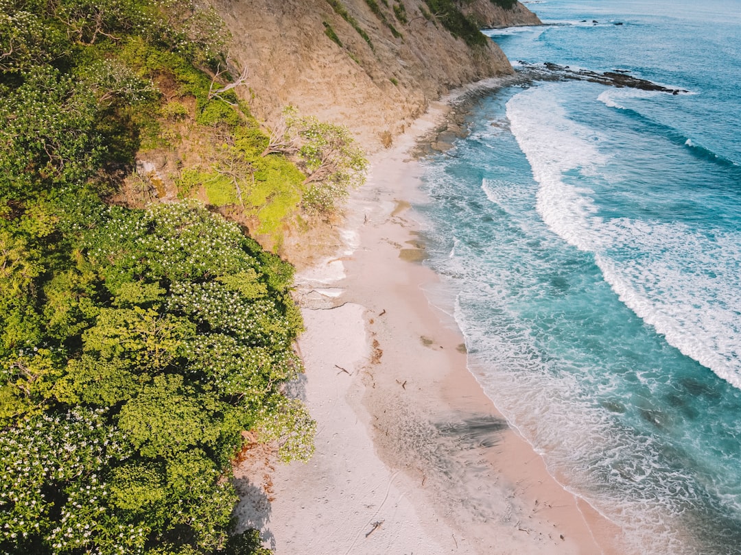 aerial view of beach during daytime