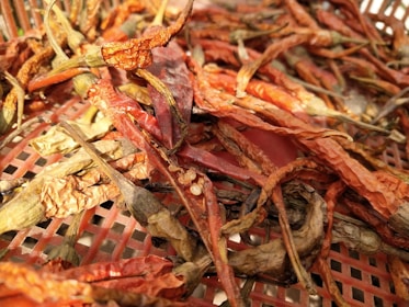 Dried red chili peppers laid out on a traditional cloth.